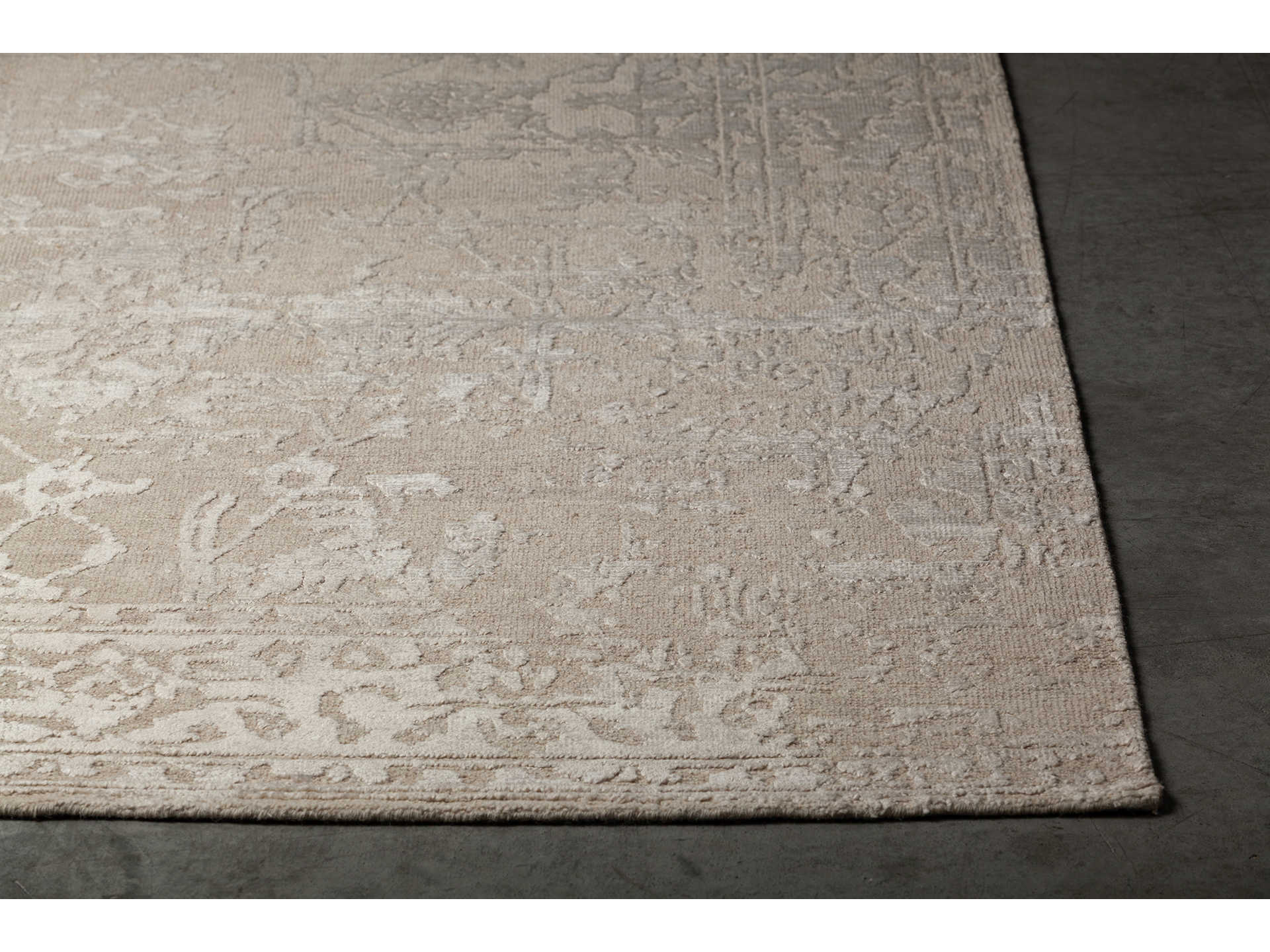 Chandra Sasha Bordered Area Rug