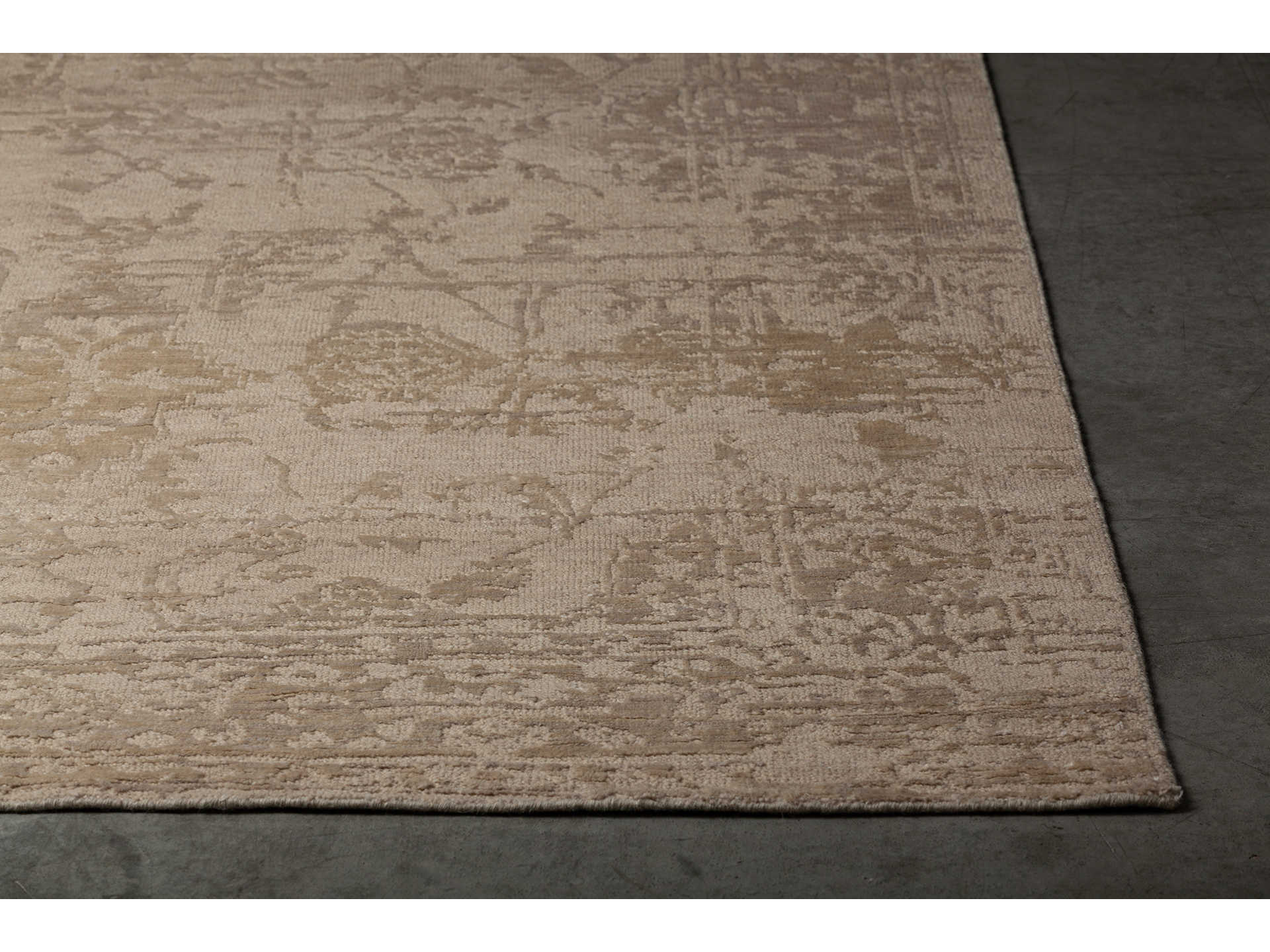 Chandra Sasha Bordered Area Rug