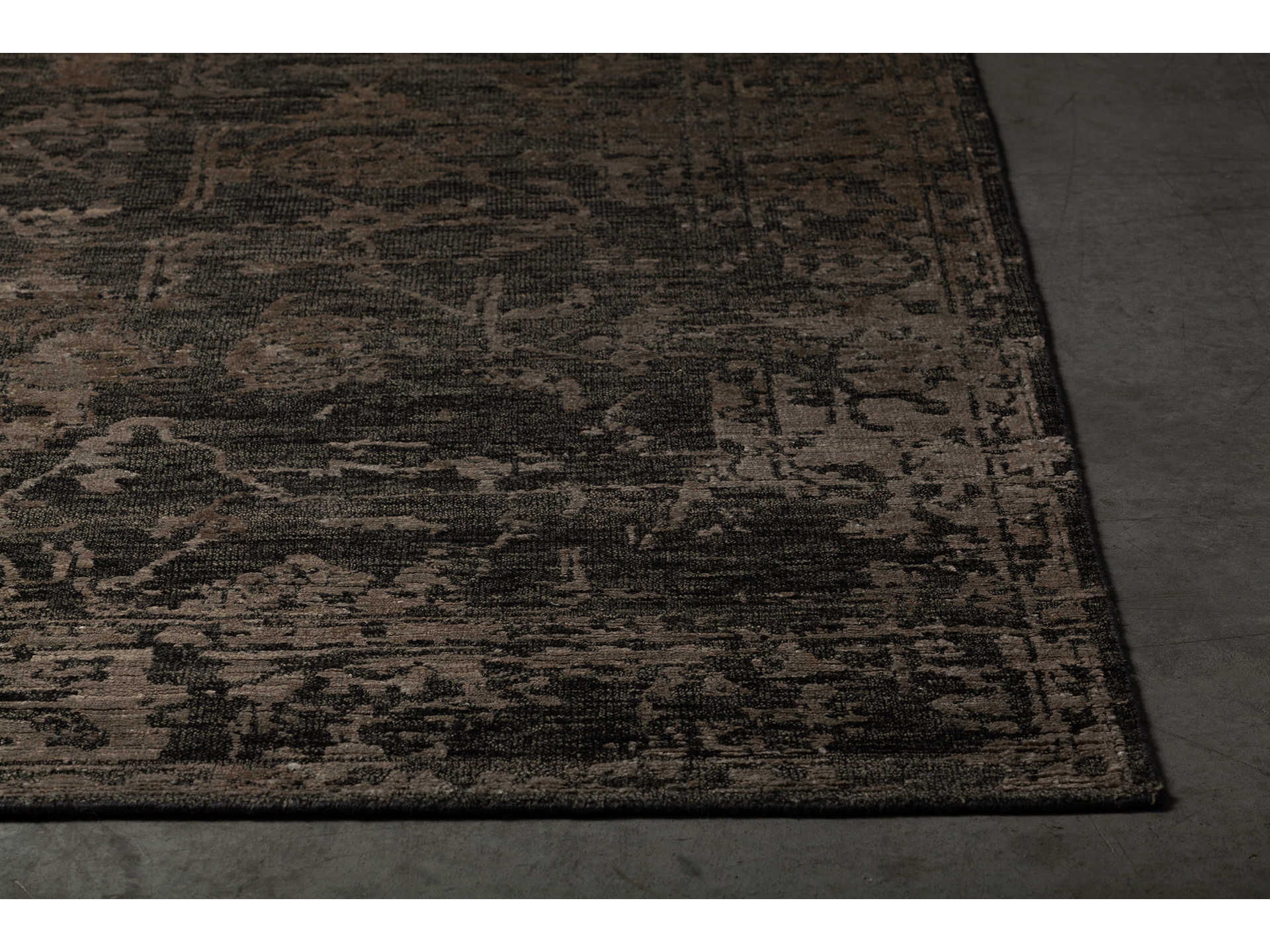 Chandra Sasha Bordered Area Rug