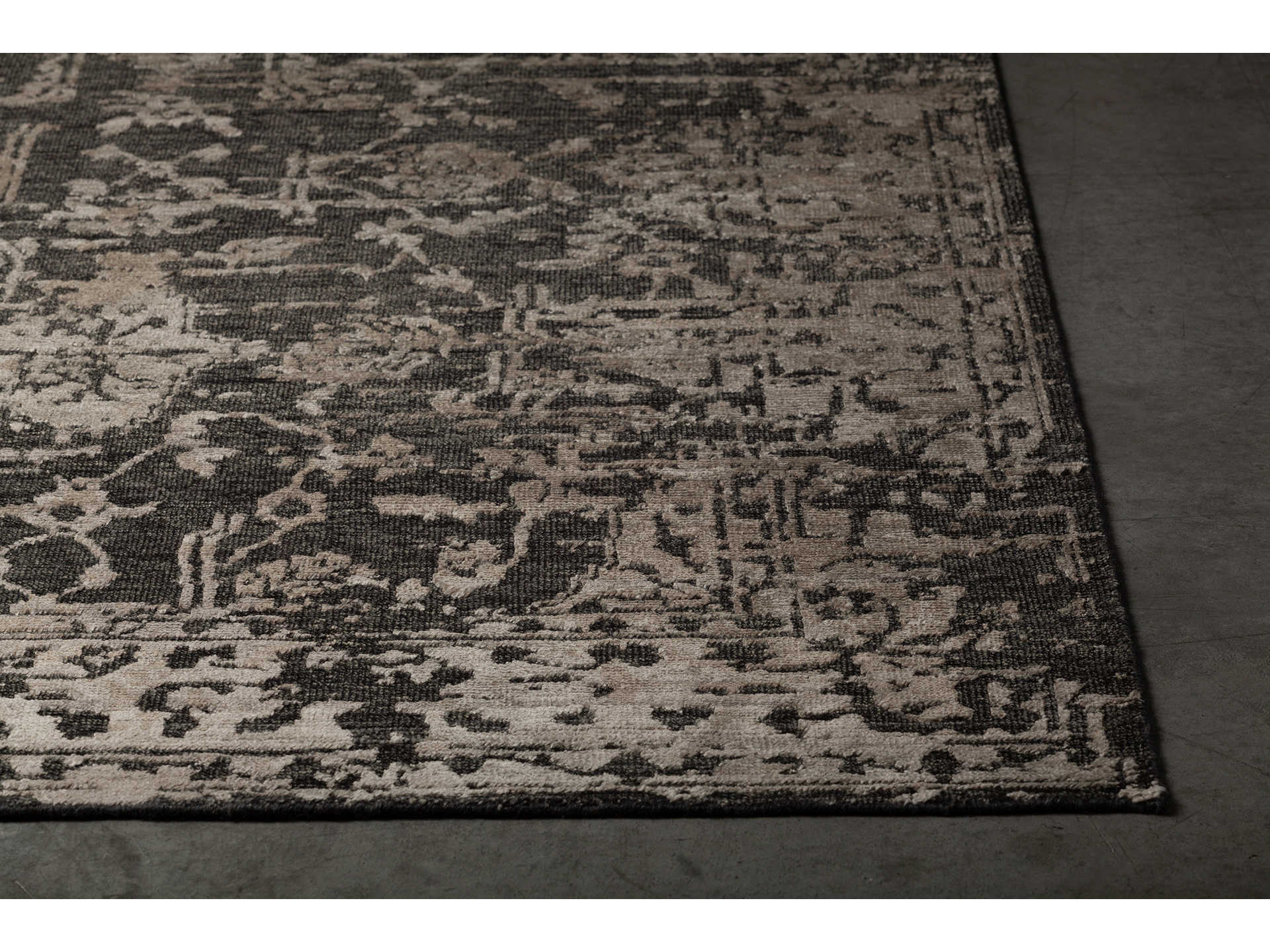 Chandra Sasha Bordered Area Rug