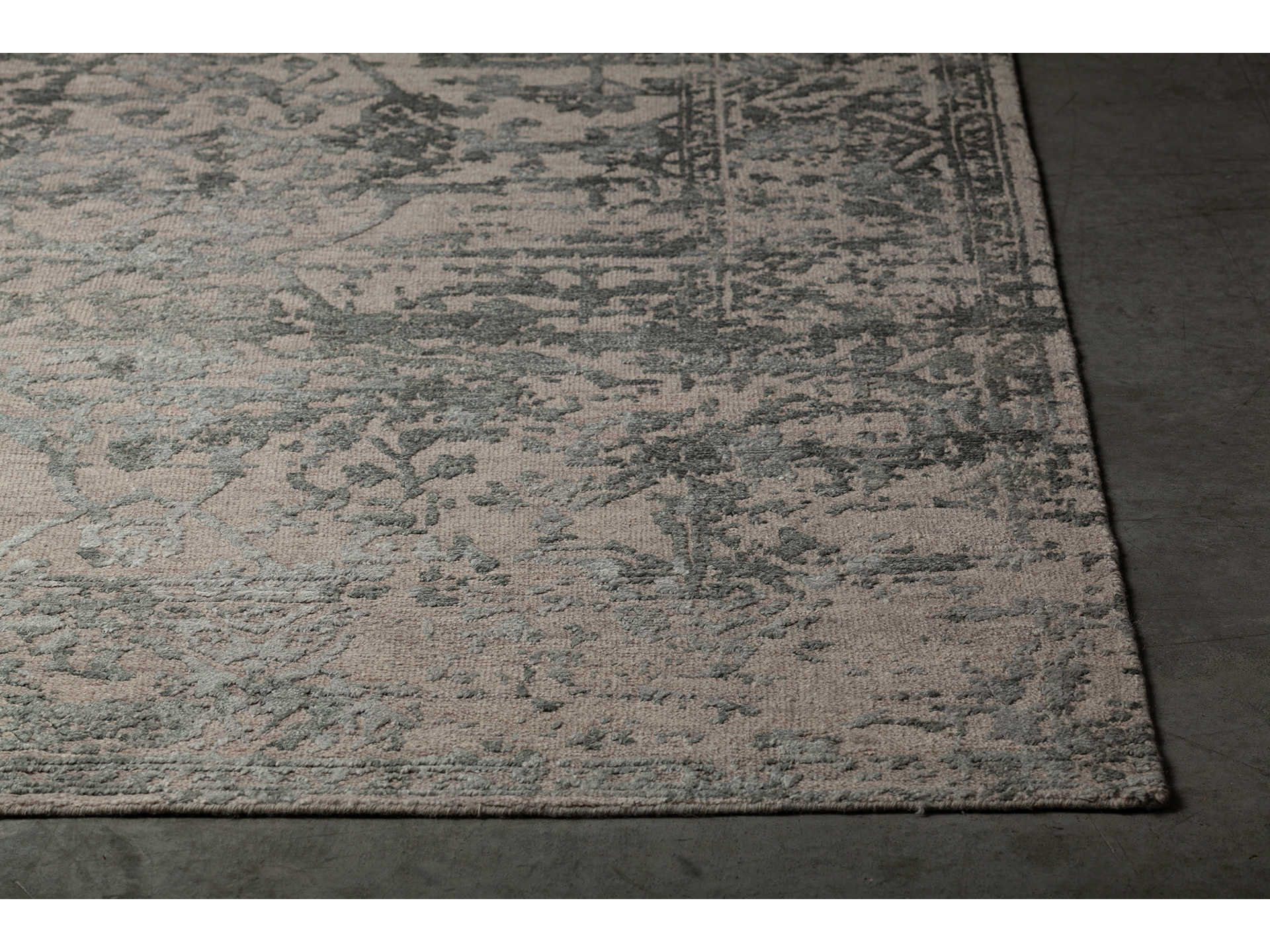 Chandra Sasha Bordered Area Rug