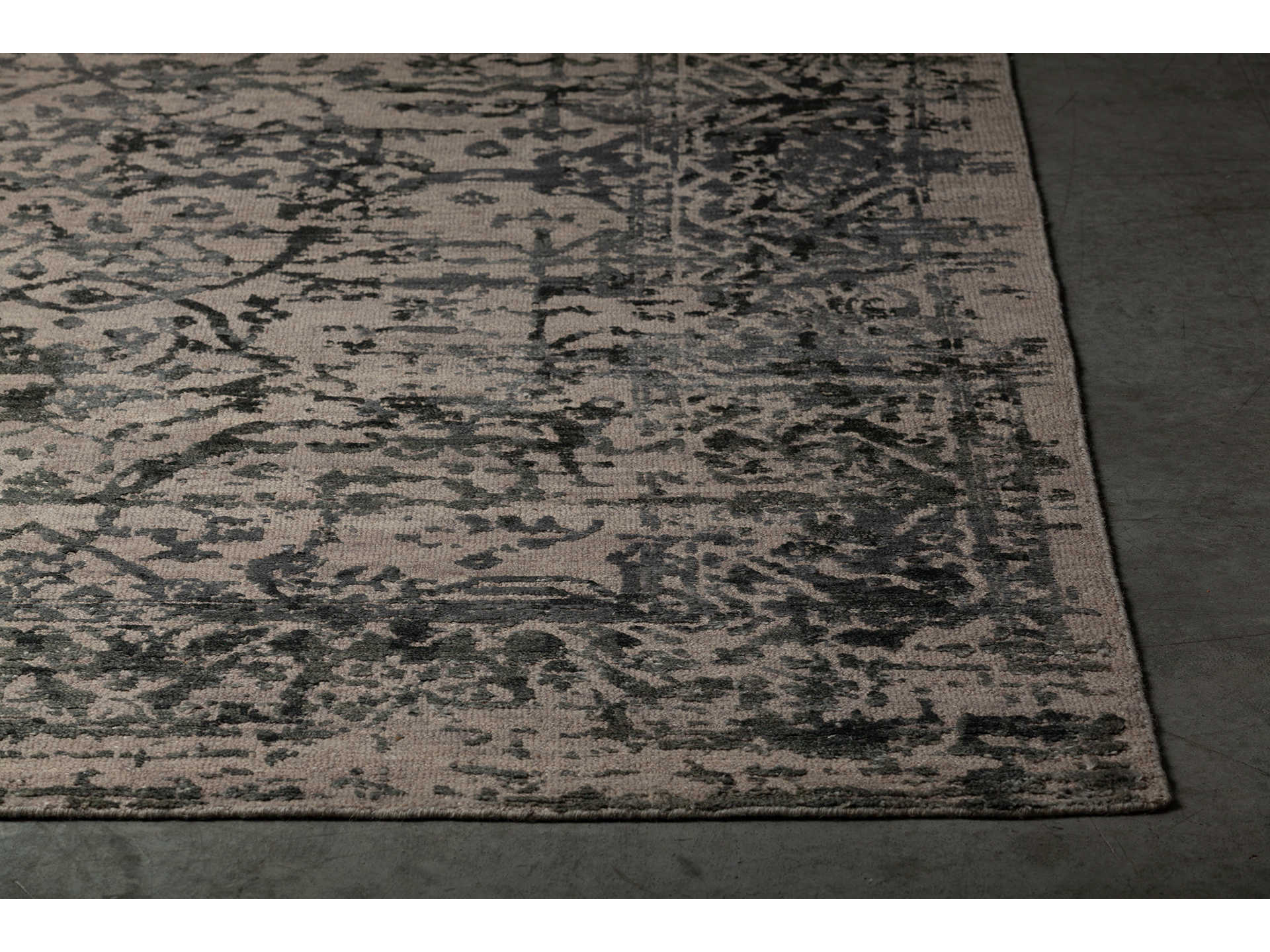 Chandra Sasha Bordered Area Rug