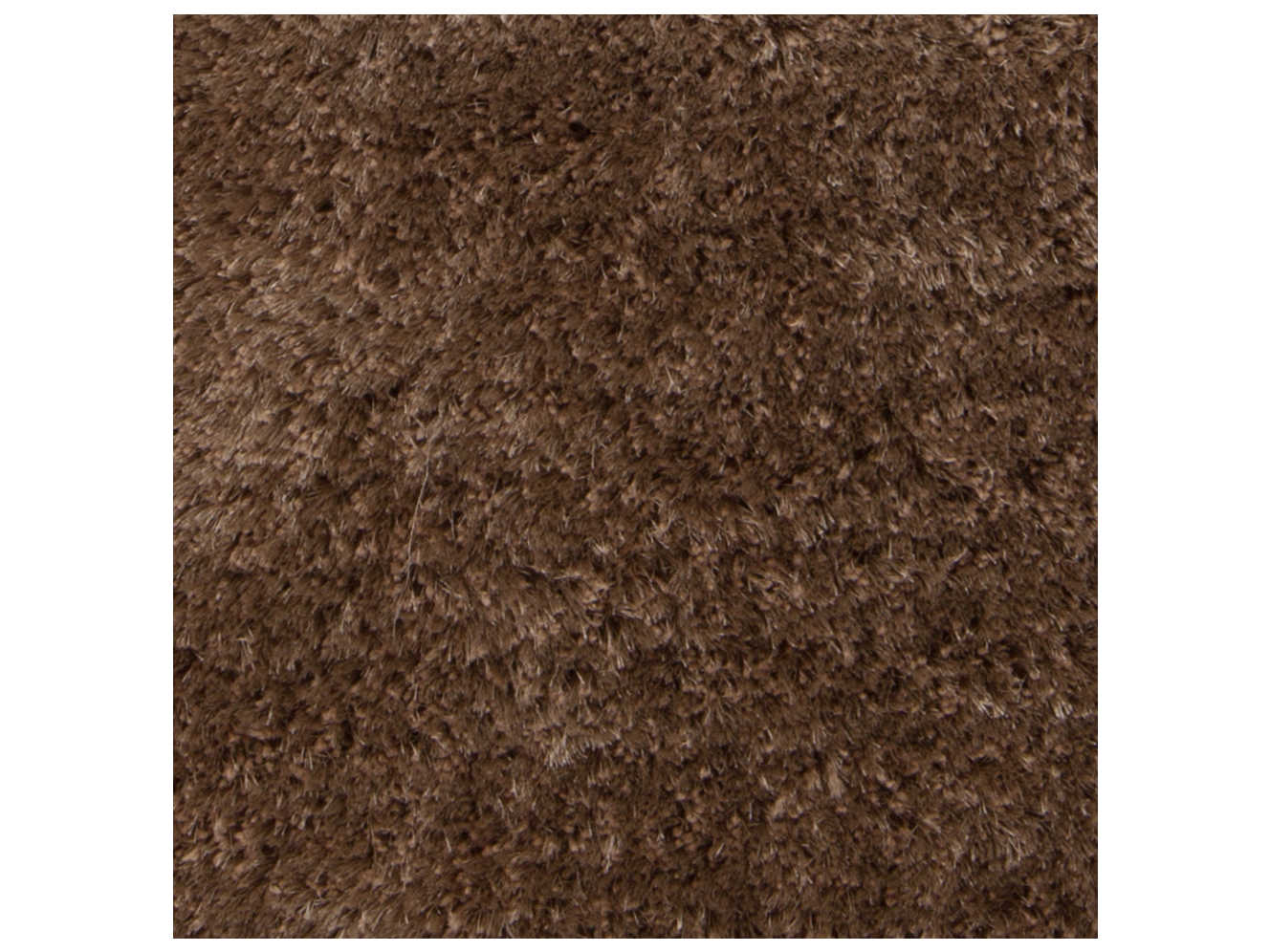 Chandra Sofie Shag Area Rug