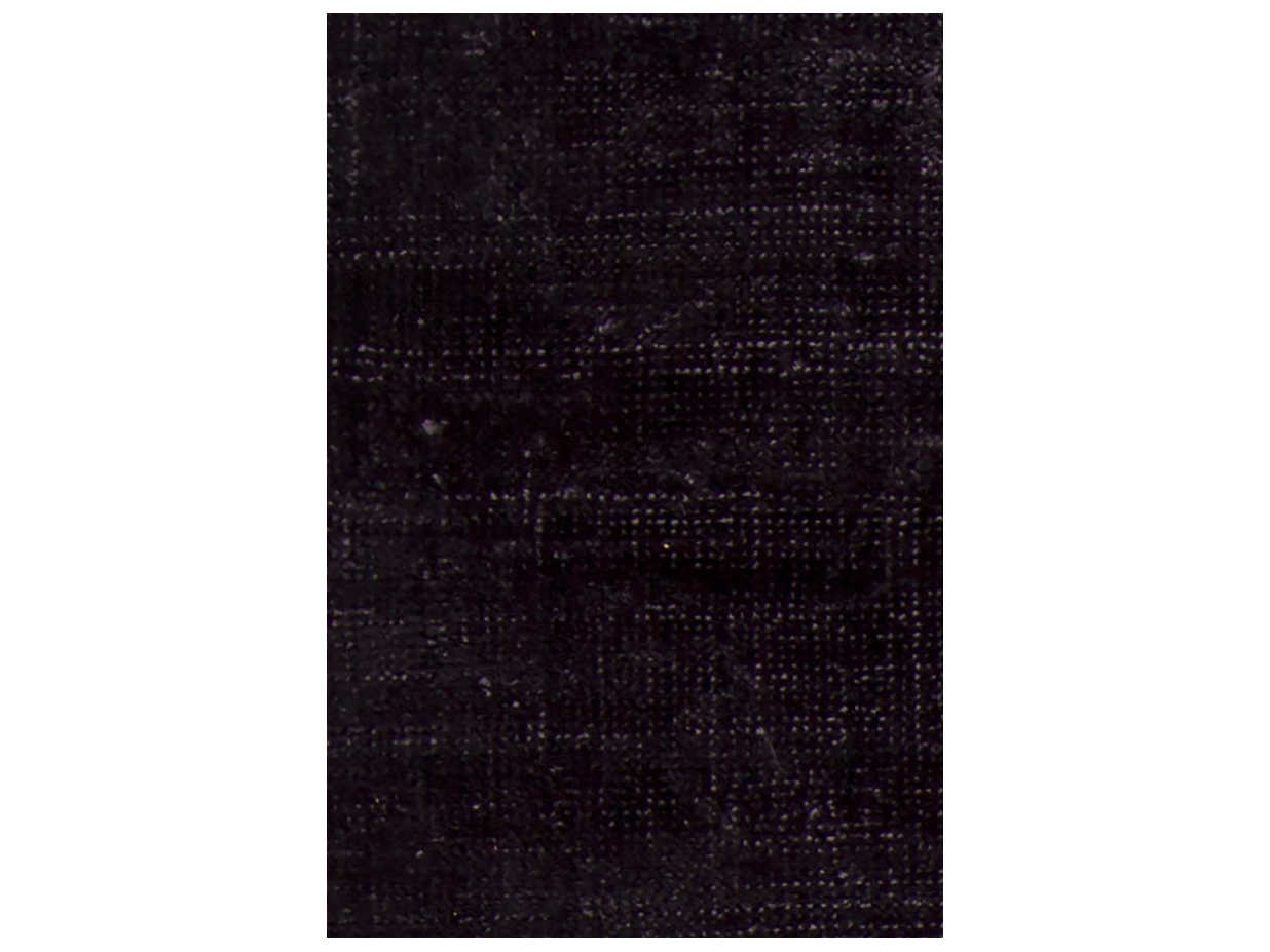 Chandra Sopris Area Rug