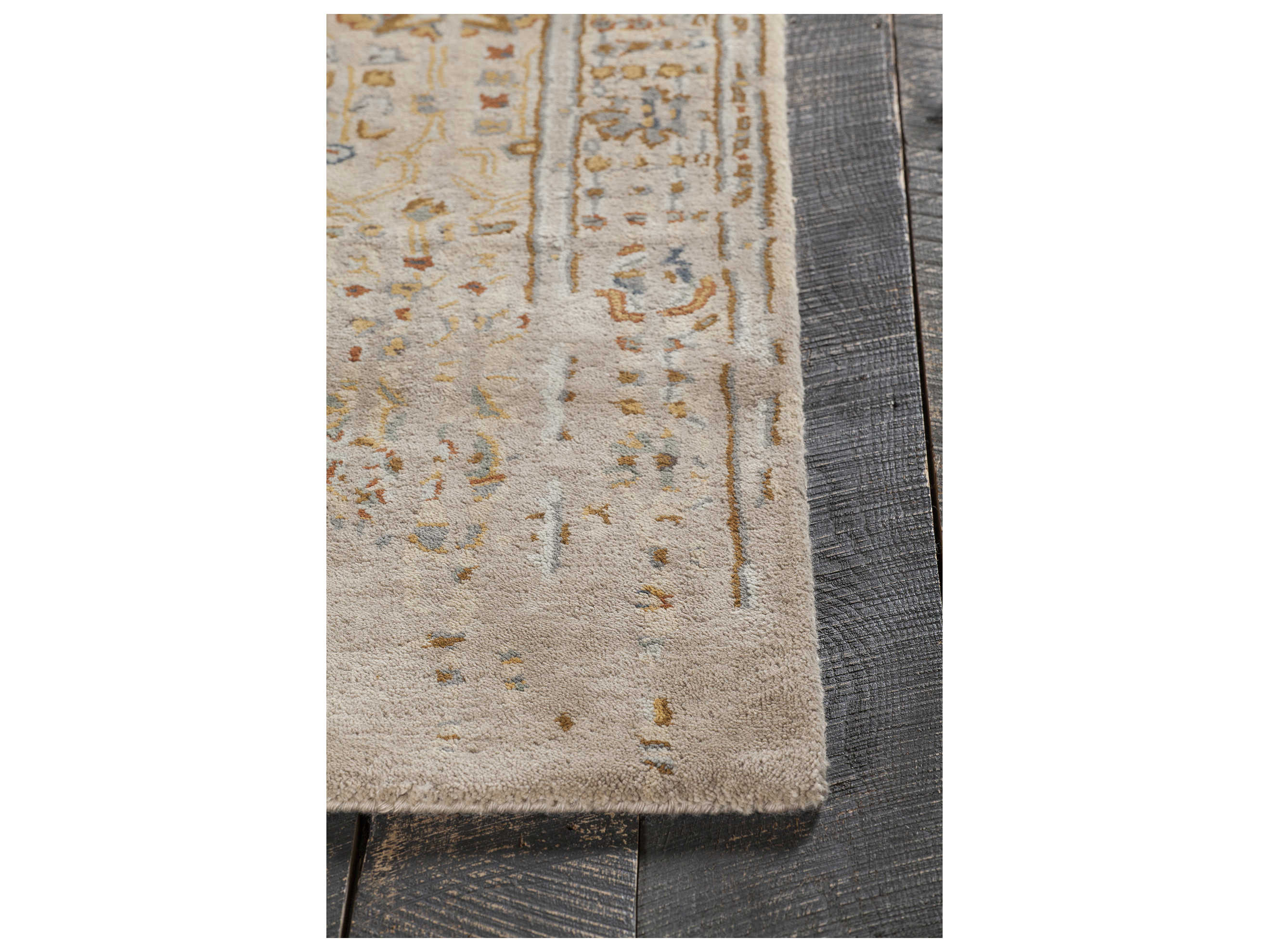 Chandra Spring Bordered Area Rug