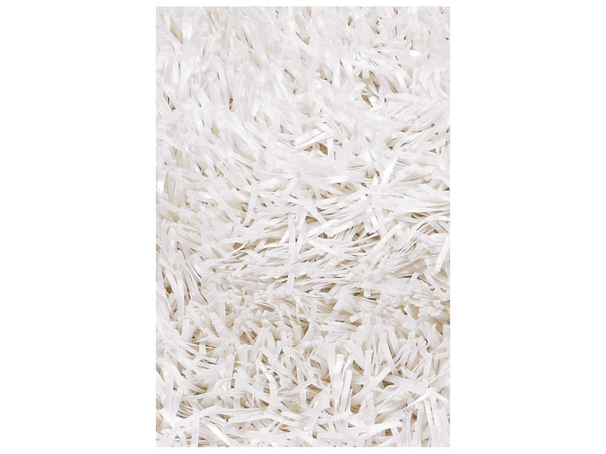 Chandra Tirish Shag Area Rug