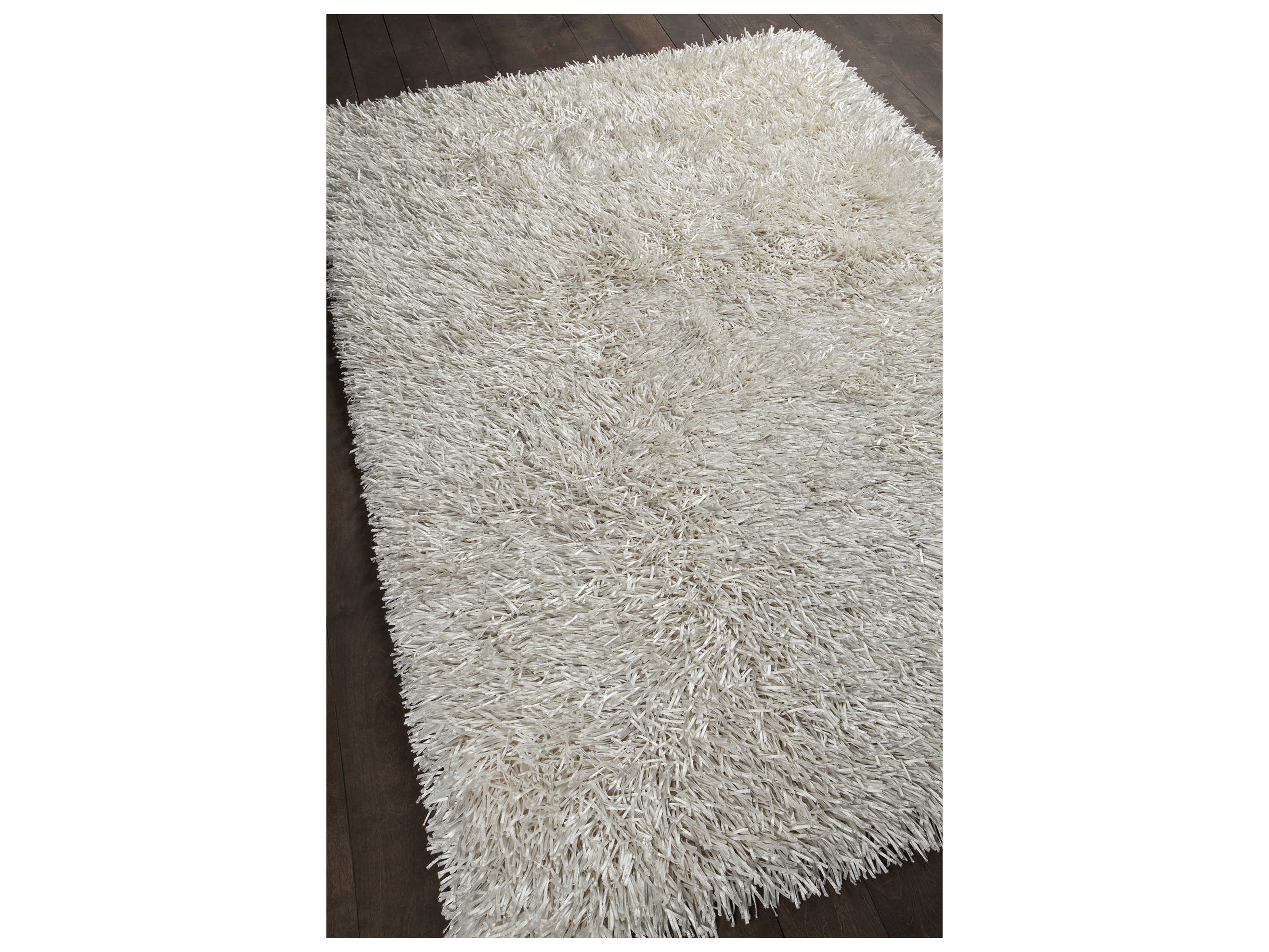 Chandra Tirish Shag Area Rug