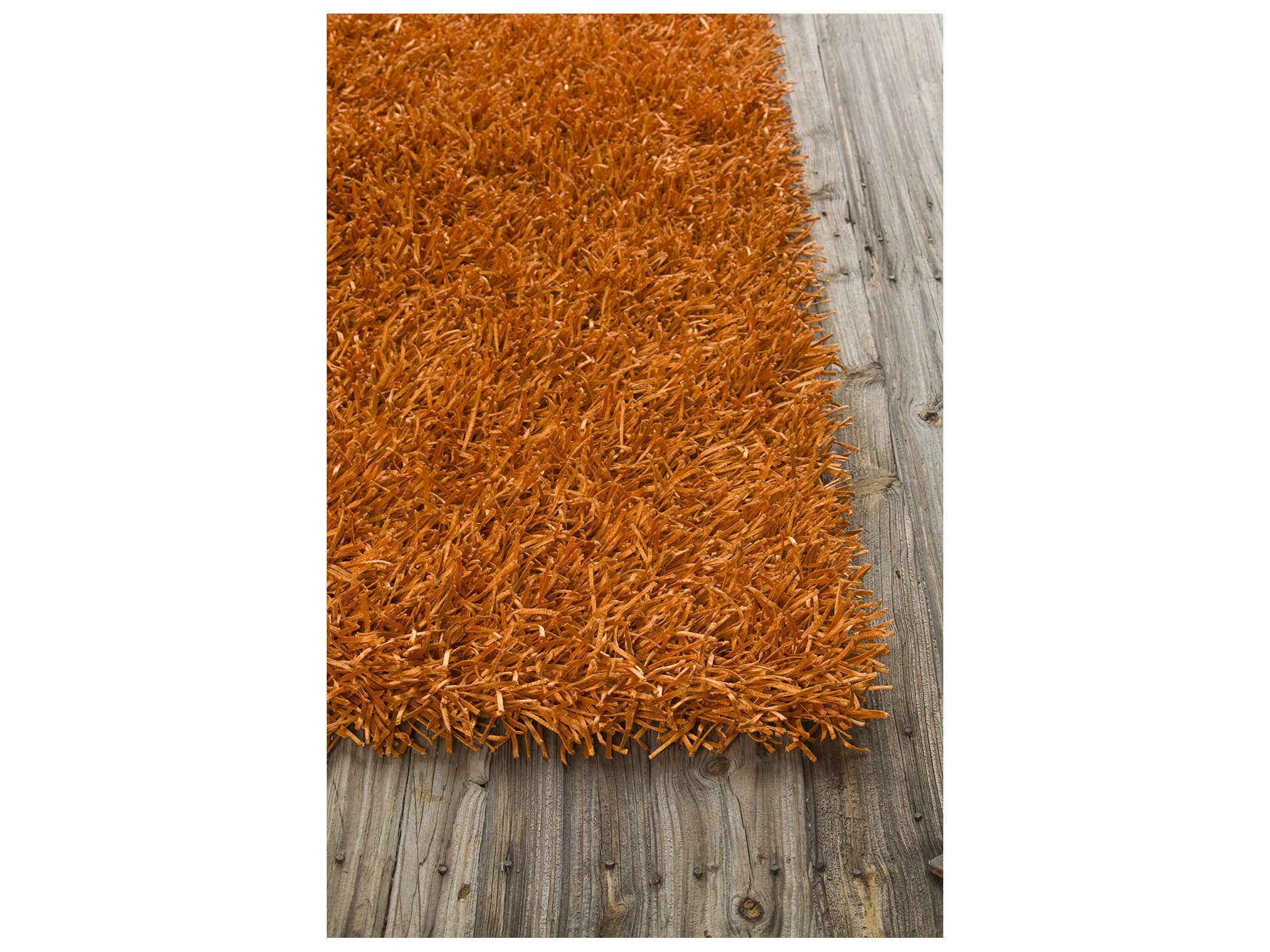 Chandra Tirish Shag Area Rug