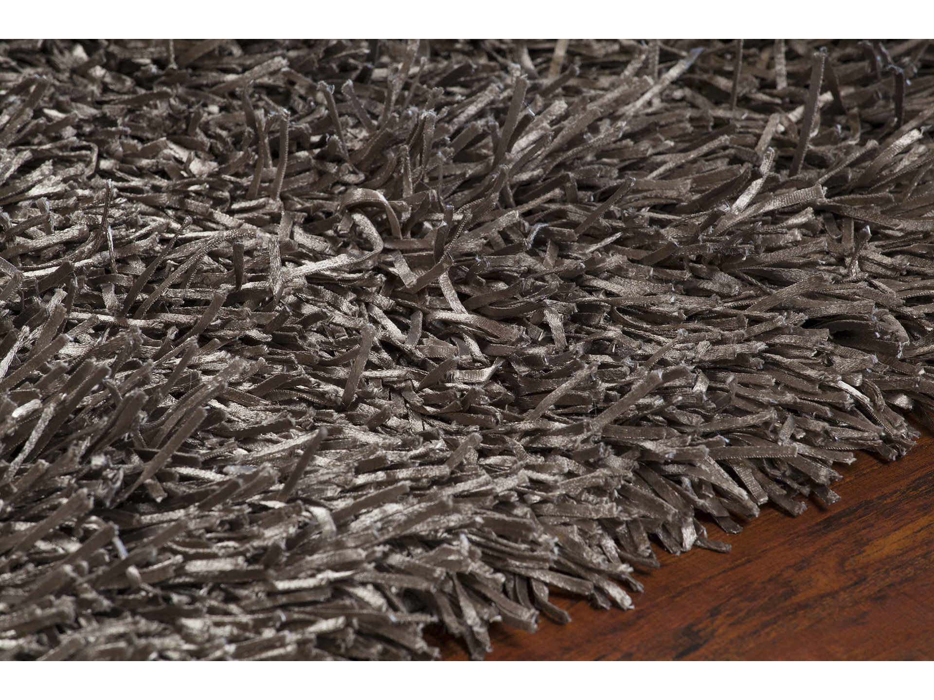 Chandra Tirish Shag Area Rug