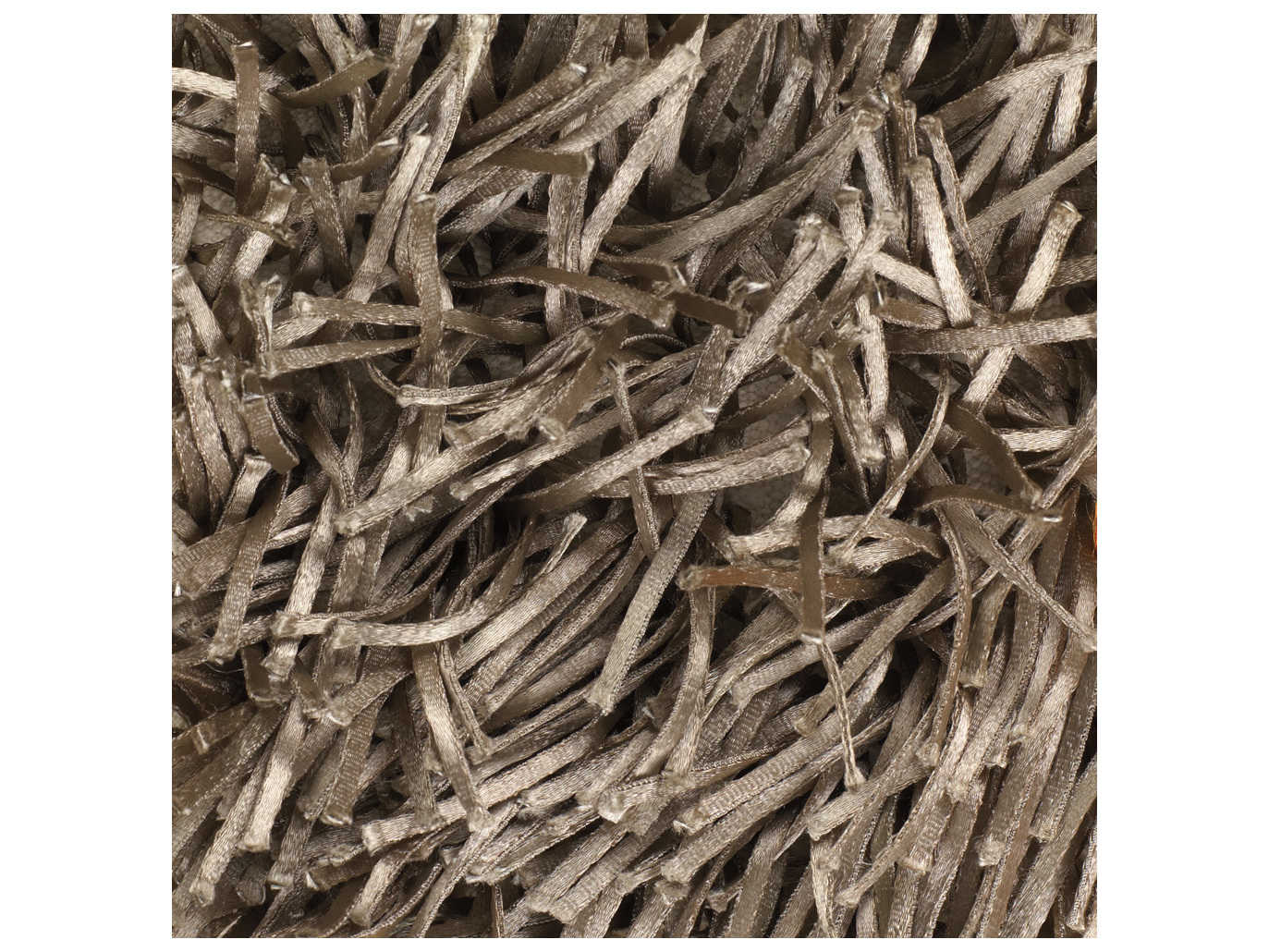 Chandra Tirish Shag Area Rug