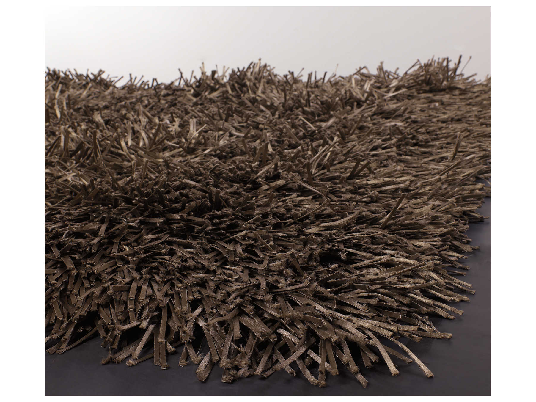 Chandra Tirish Shag Area Rug