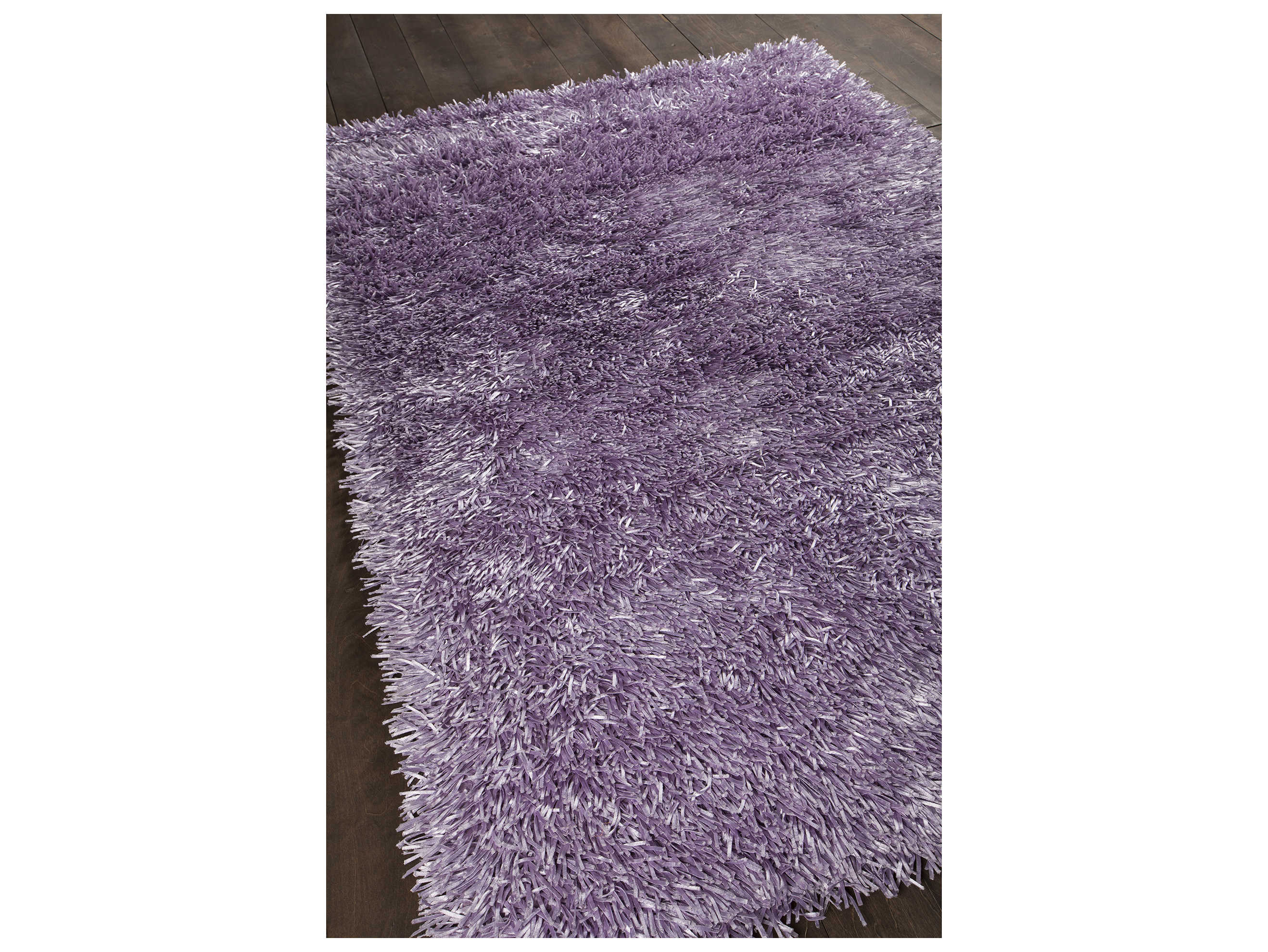 Chandra Tirish Shag Area Rug