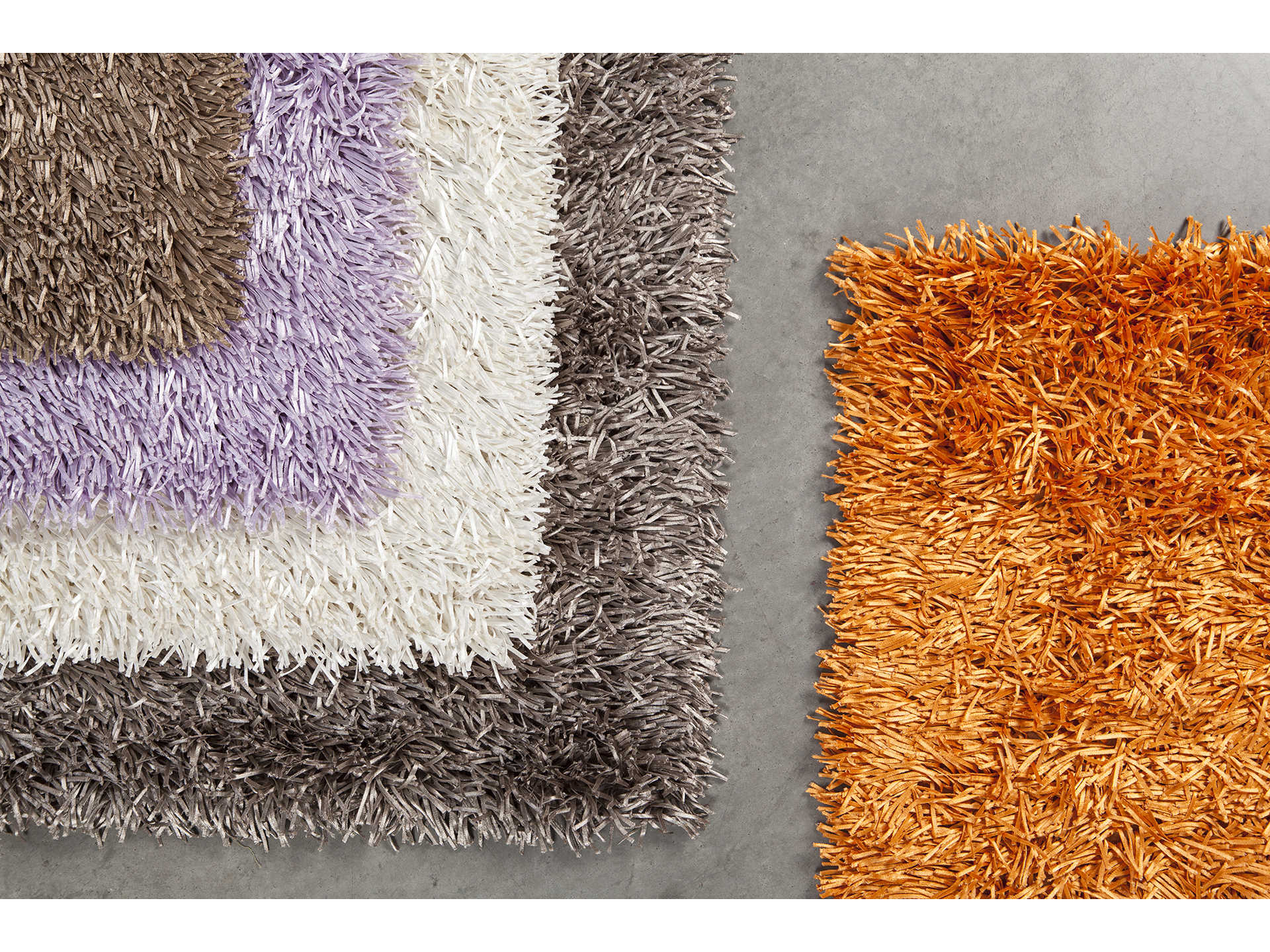 Chandra Tirish Shag Area Rug