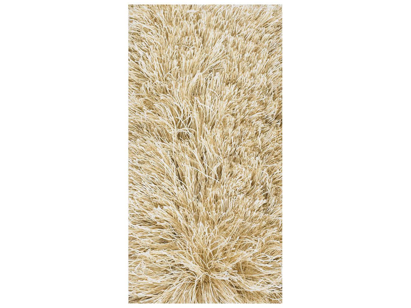 Chandra Vani Shag Area Rug