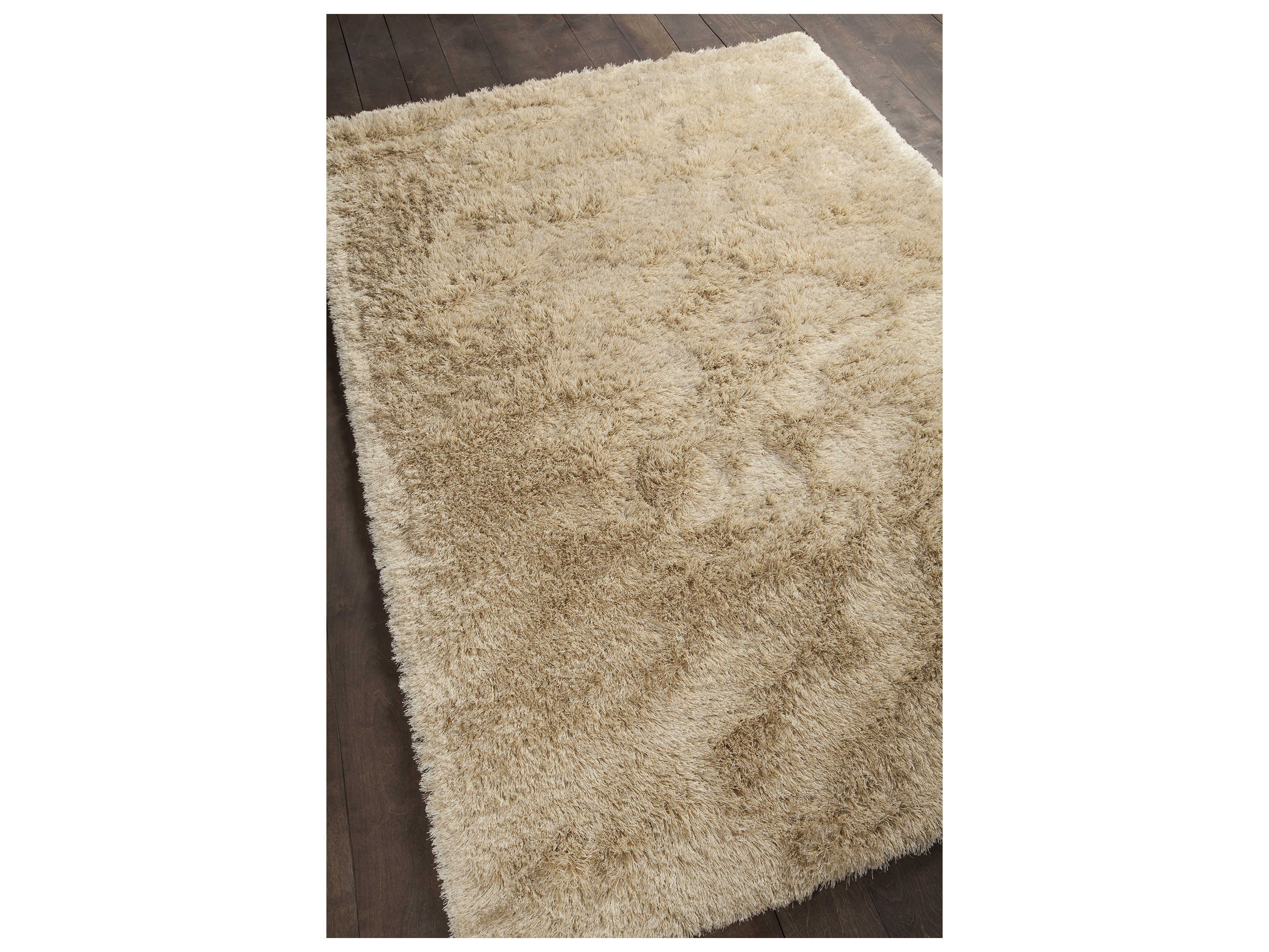 Chandra Vani Shag Area Rug