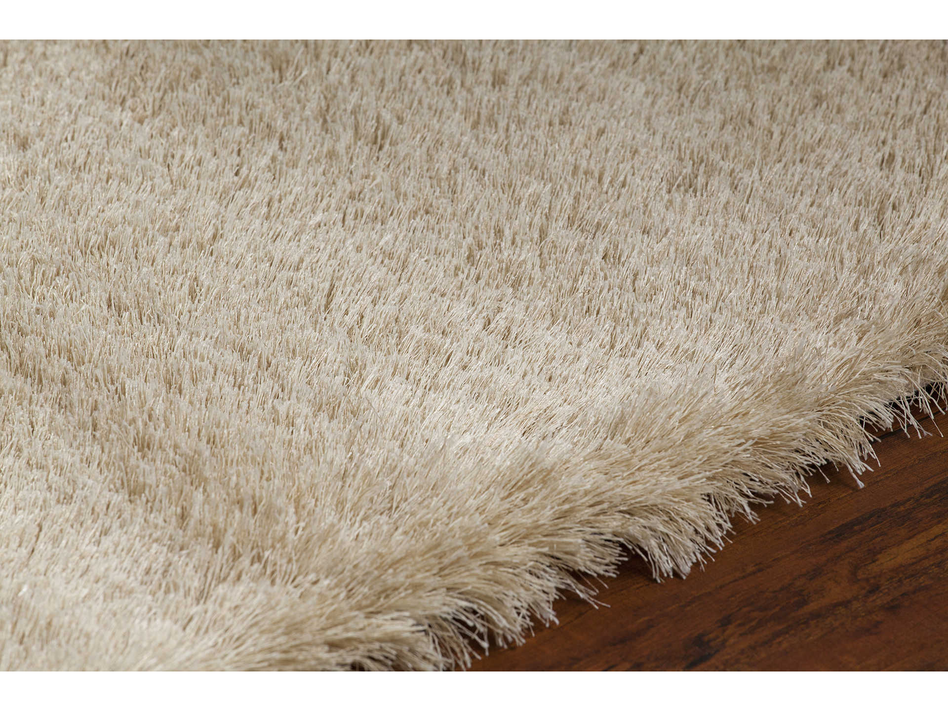 Chandra Vani Shag Area Rug
