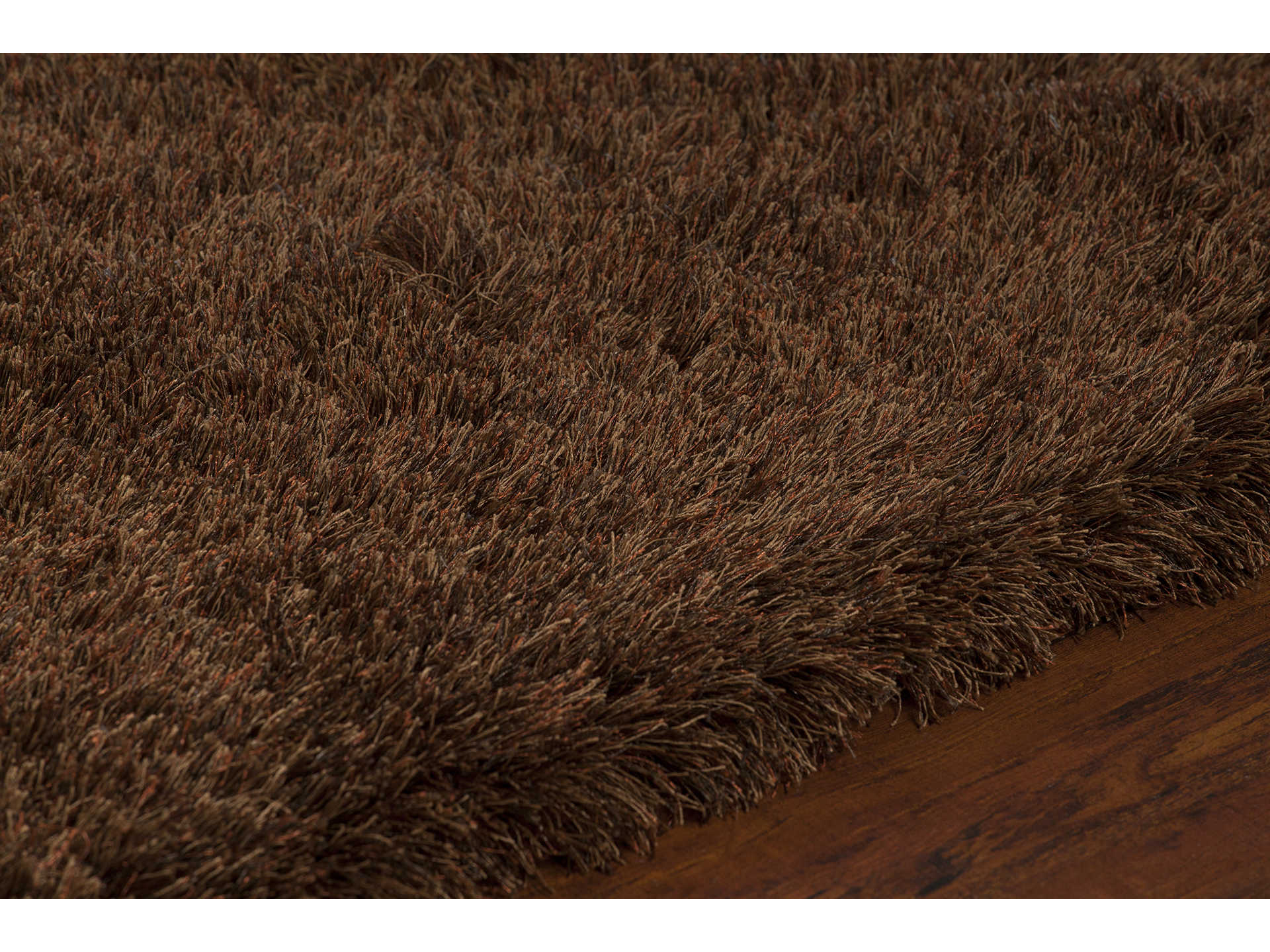 Chandra Vani Shag Area Rug