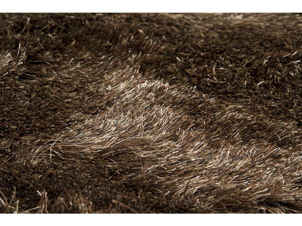 Chandra Vani Shag Area Rug