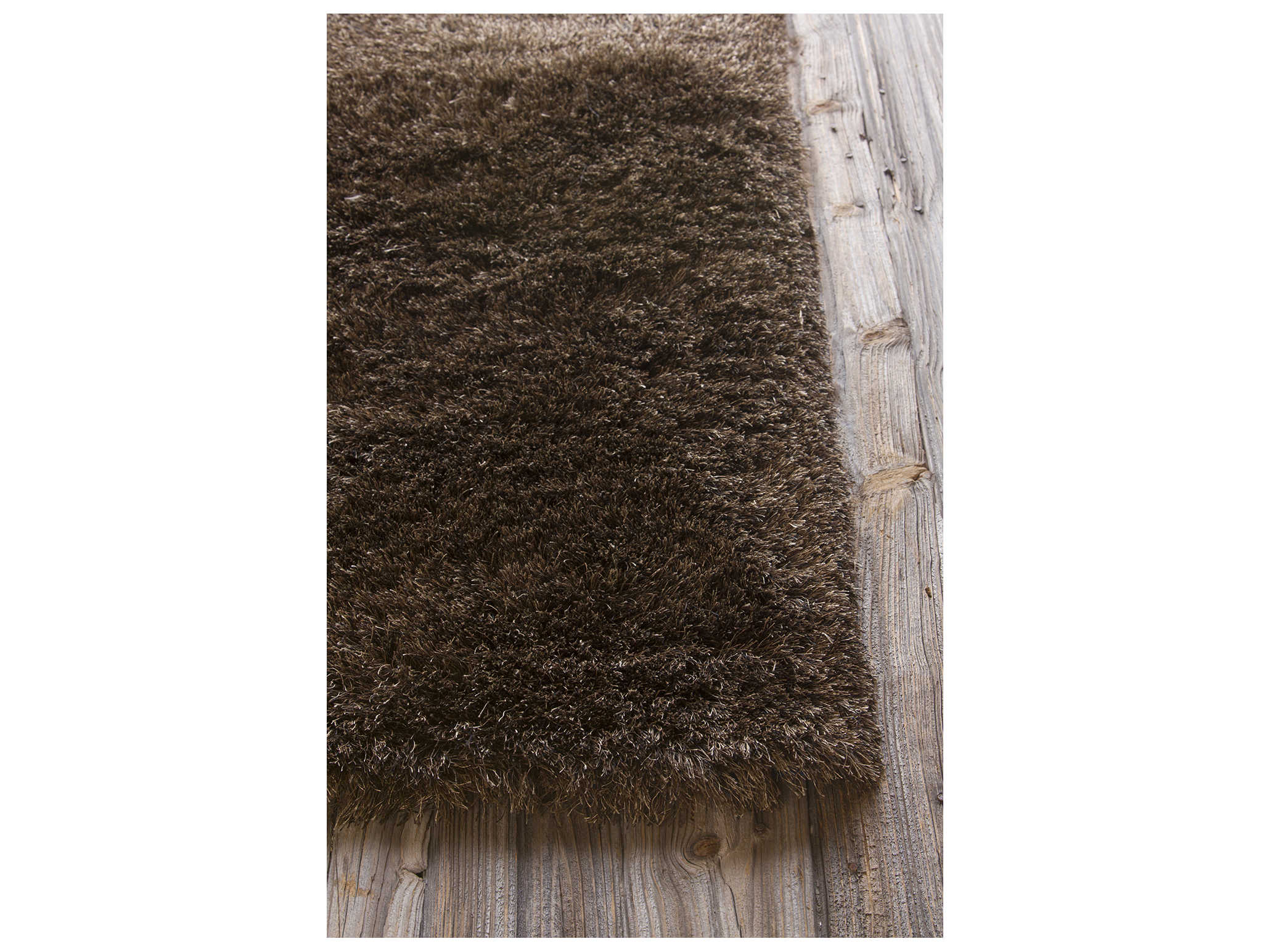 Chandra Vani Shag Area Rug