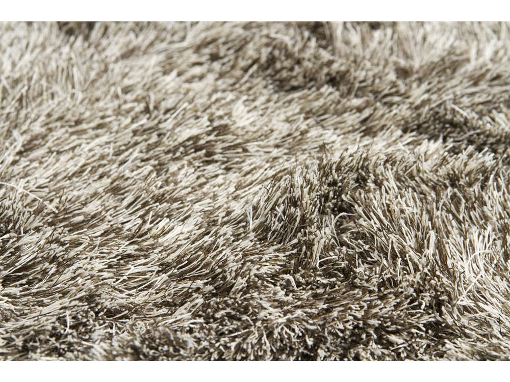 Chandra Vani Shag Area Rug