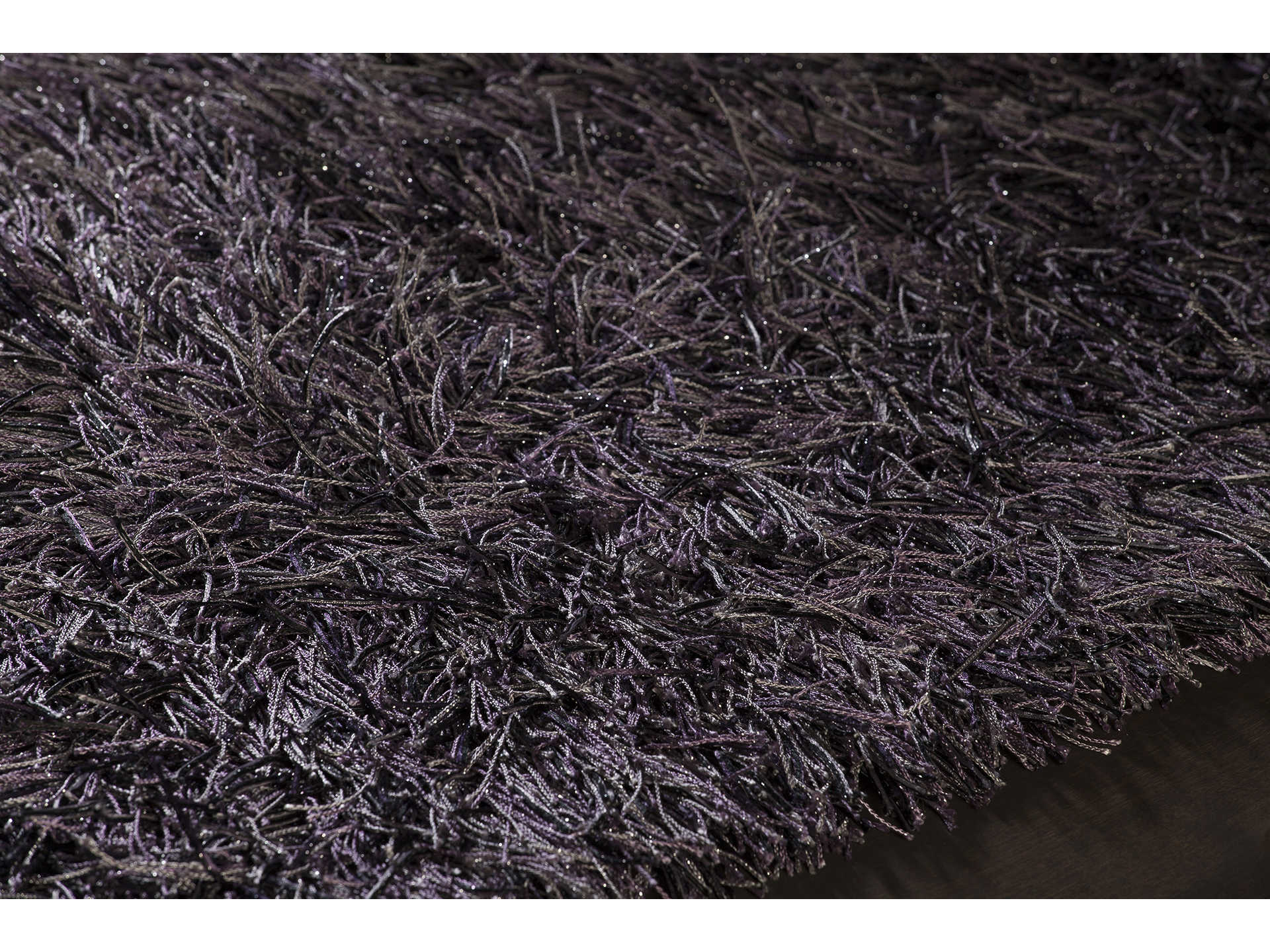 Chandra Vilma Shag Area Rug