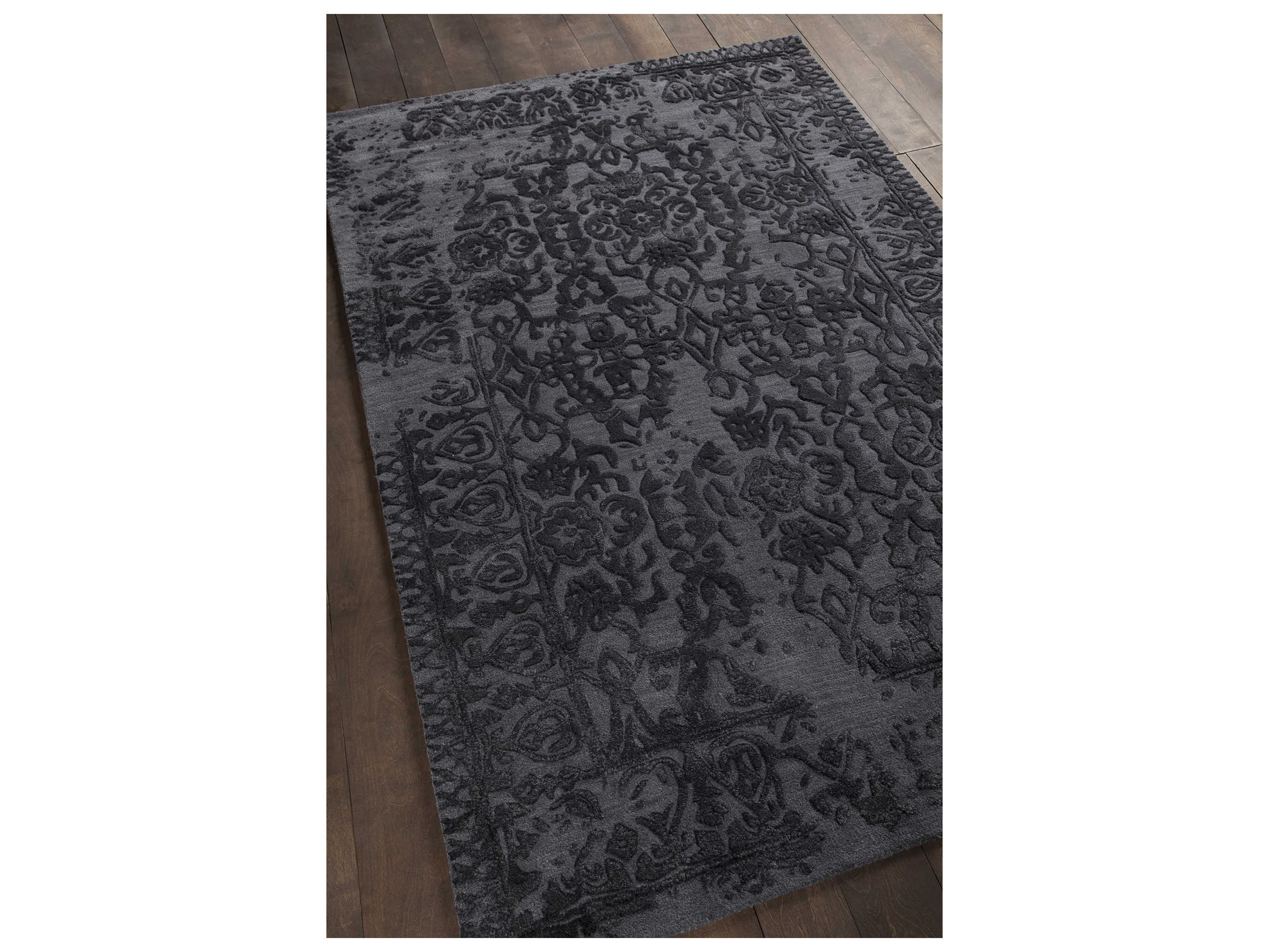 Chandra Xia Bordered Area Rug