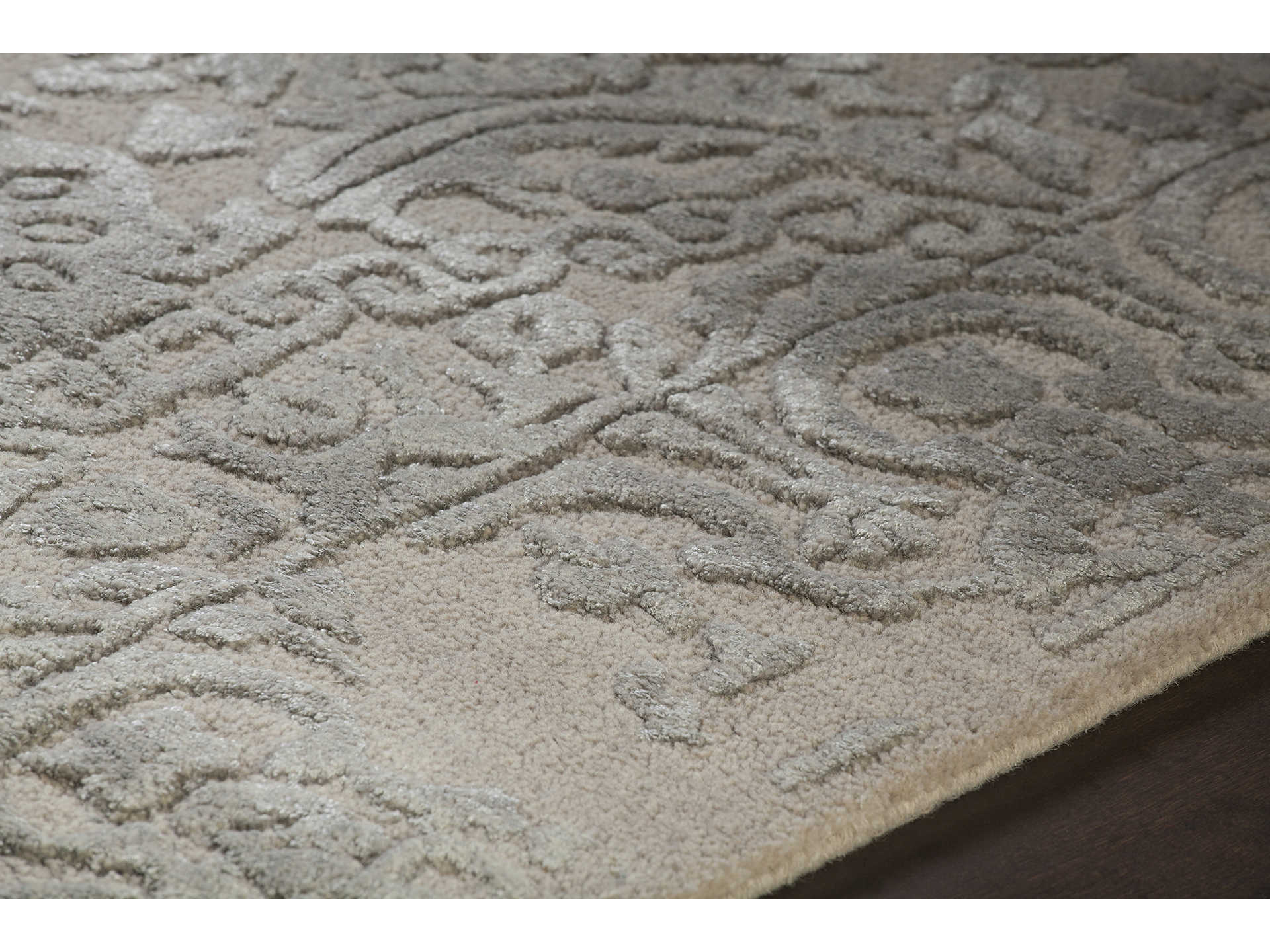 Chandra Xia Bordered Area Rug