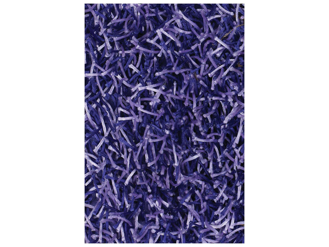 Chandra Zara Shag Area Rug