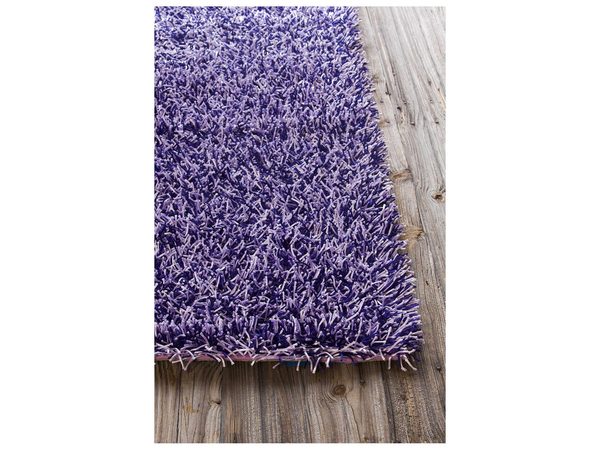 Chandra Zara Shag Area Rug