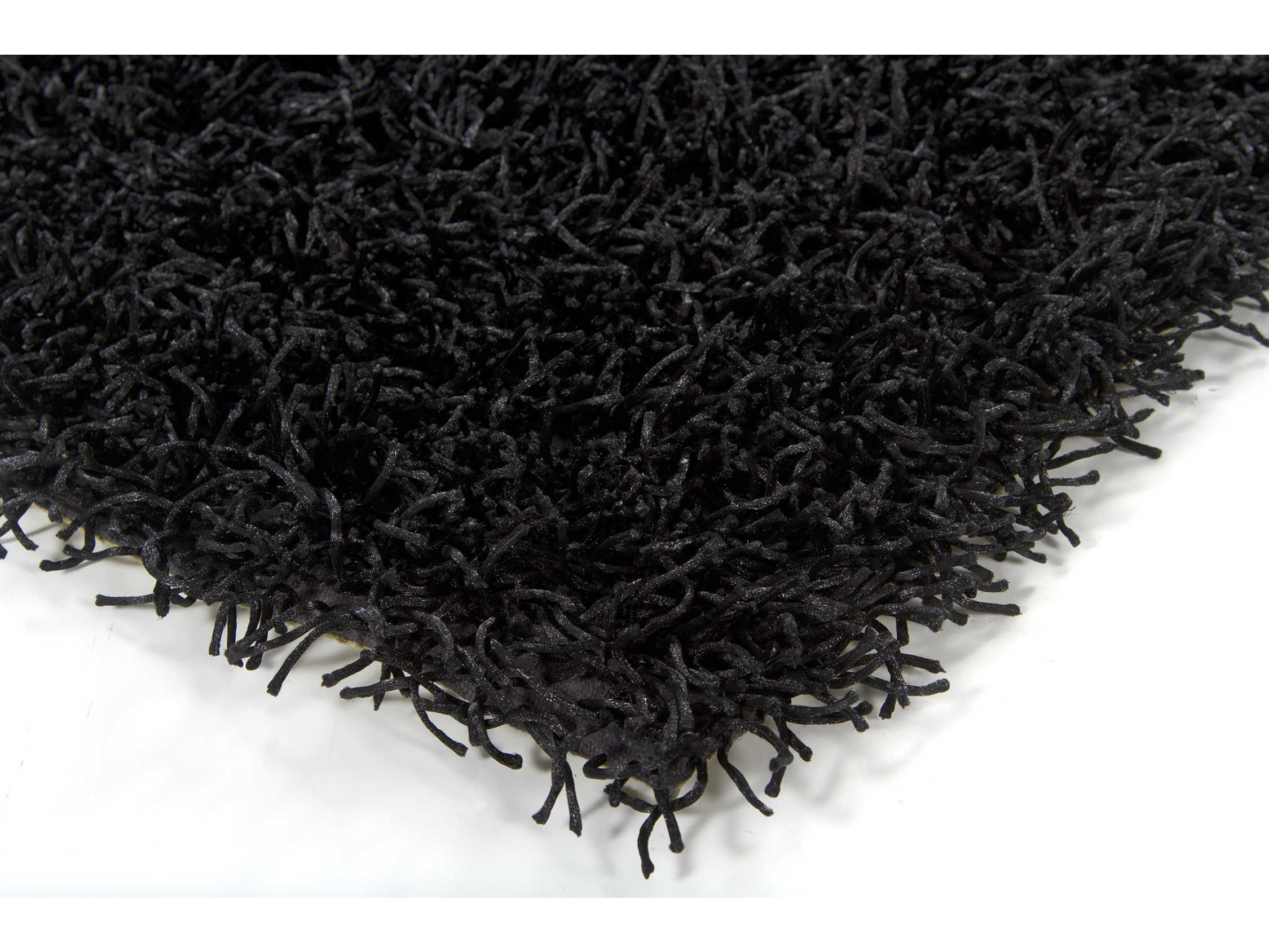 Chandra Zara Shag Area Rug