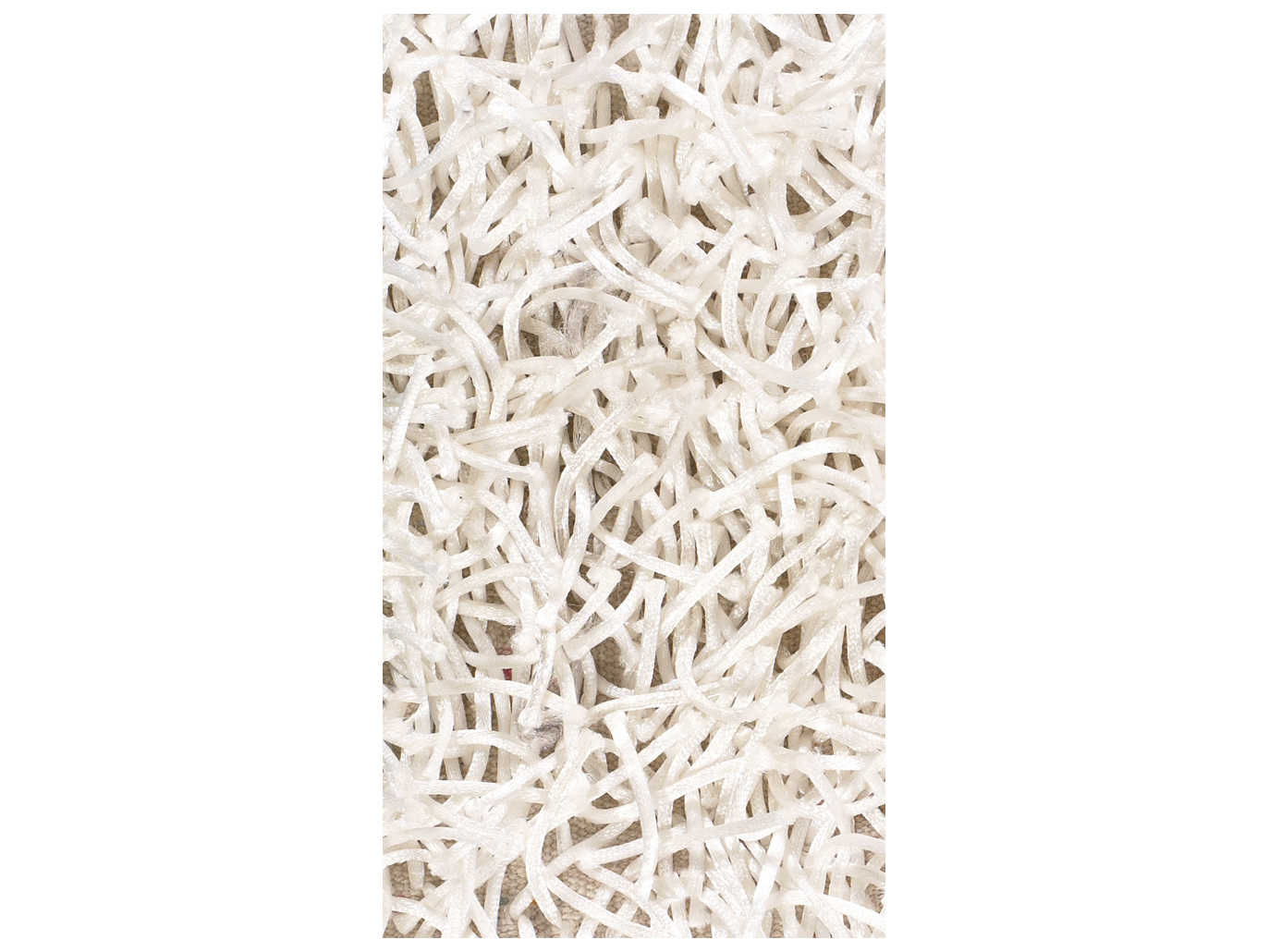 Chandra Zara Shag Area Rug