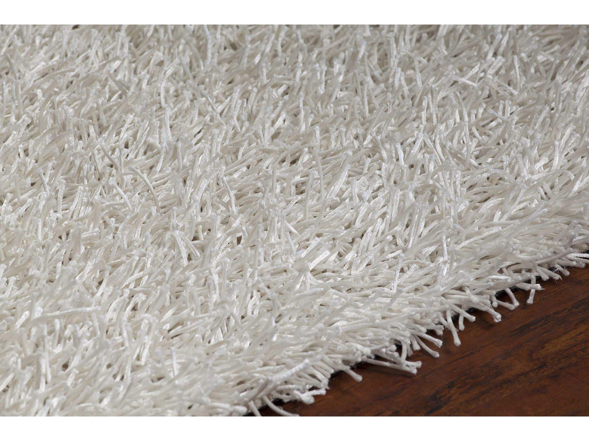 Chandra Zara Shag Area Rug