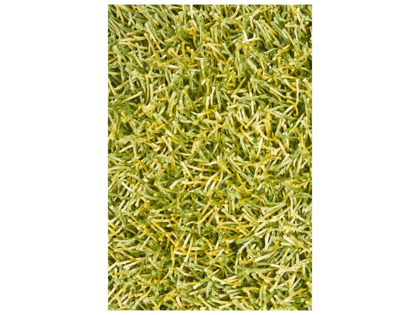 Chandra Zara Shag Area Rug