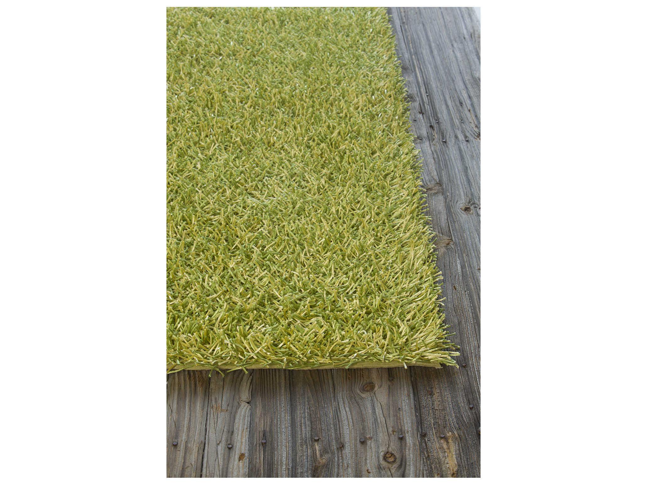Chandra Zara Shag Area Rug