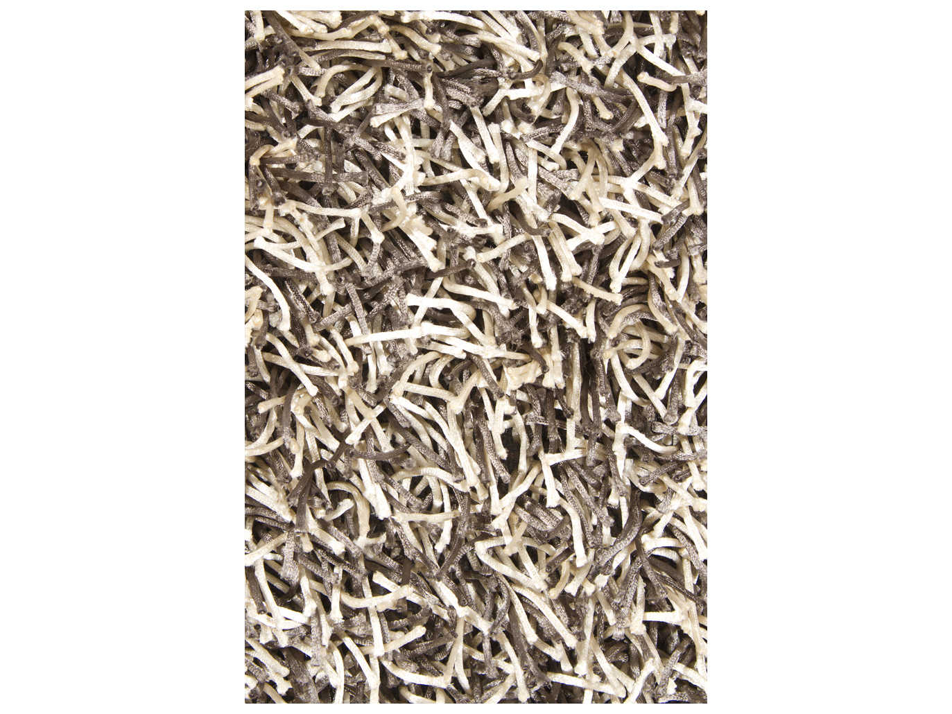 Chandra Zara Shag Area Rug