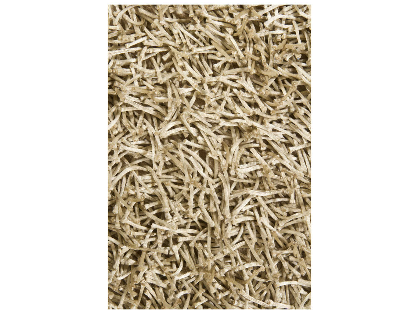 Chandra Zara Shag Area Rug