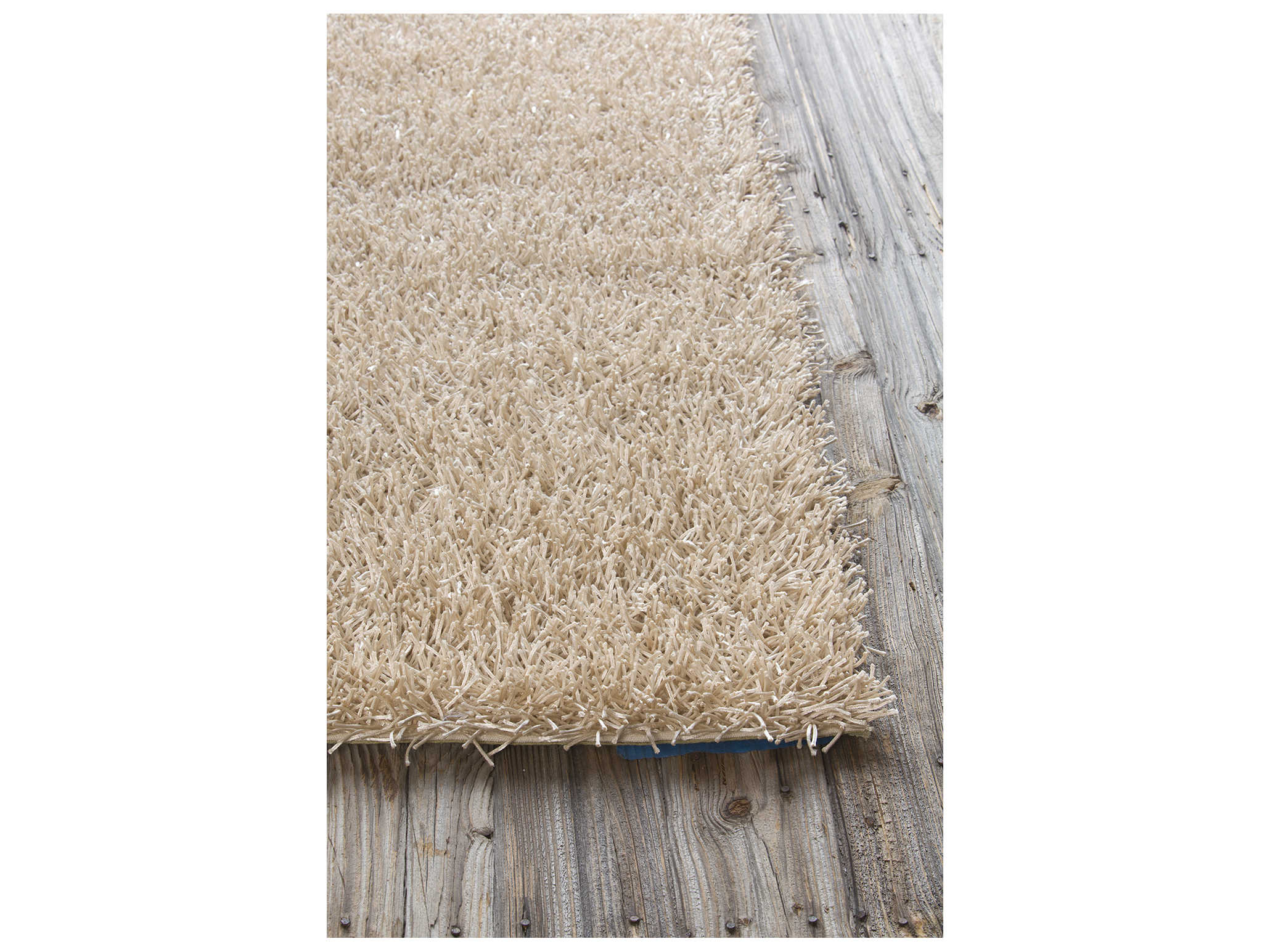 Chandra Zara Shag Area Rug