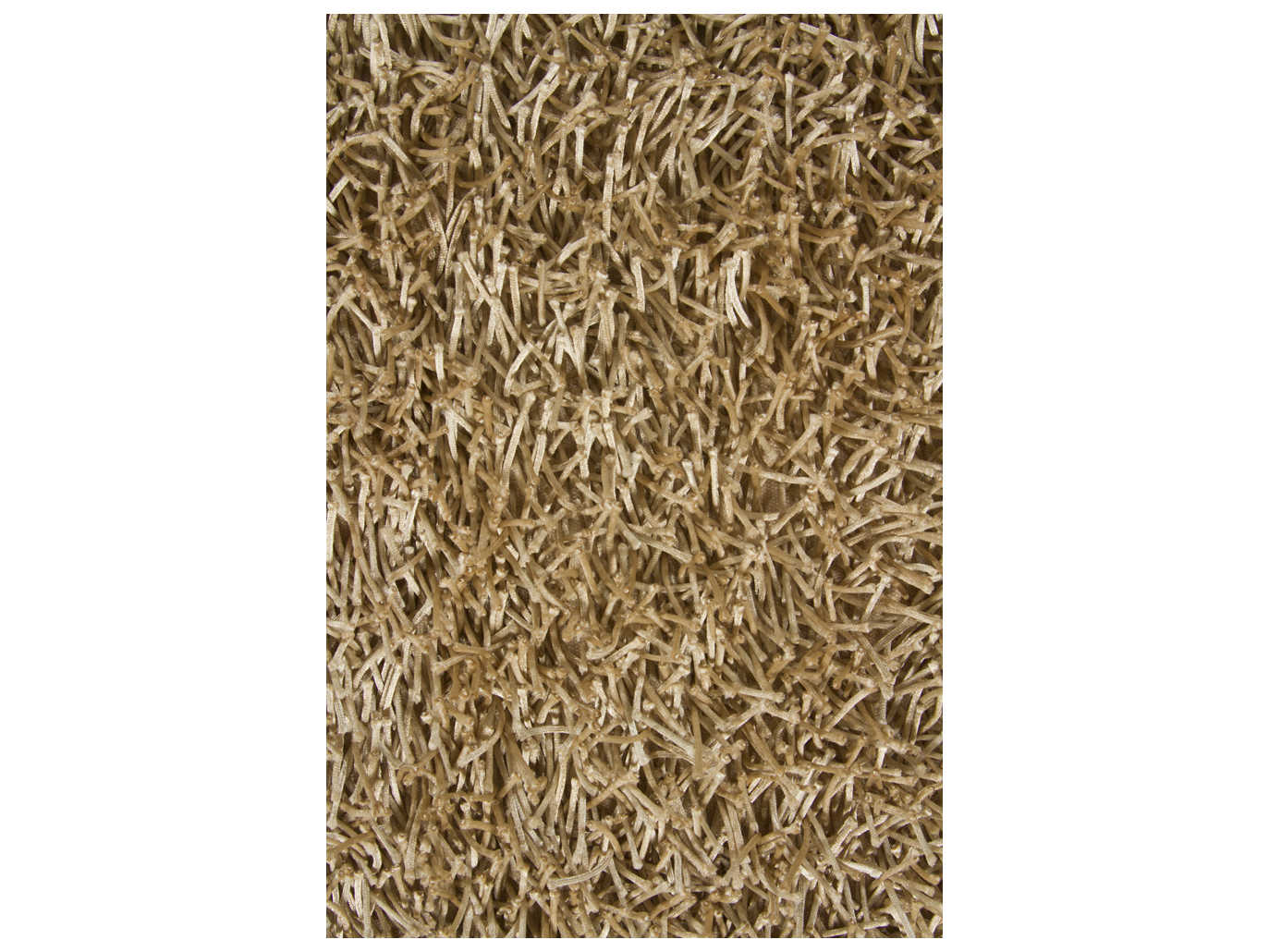 Chandra Zara Shag Area Rug