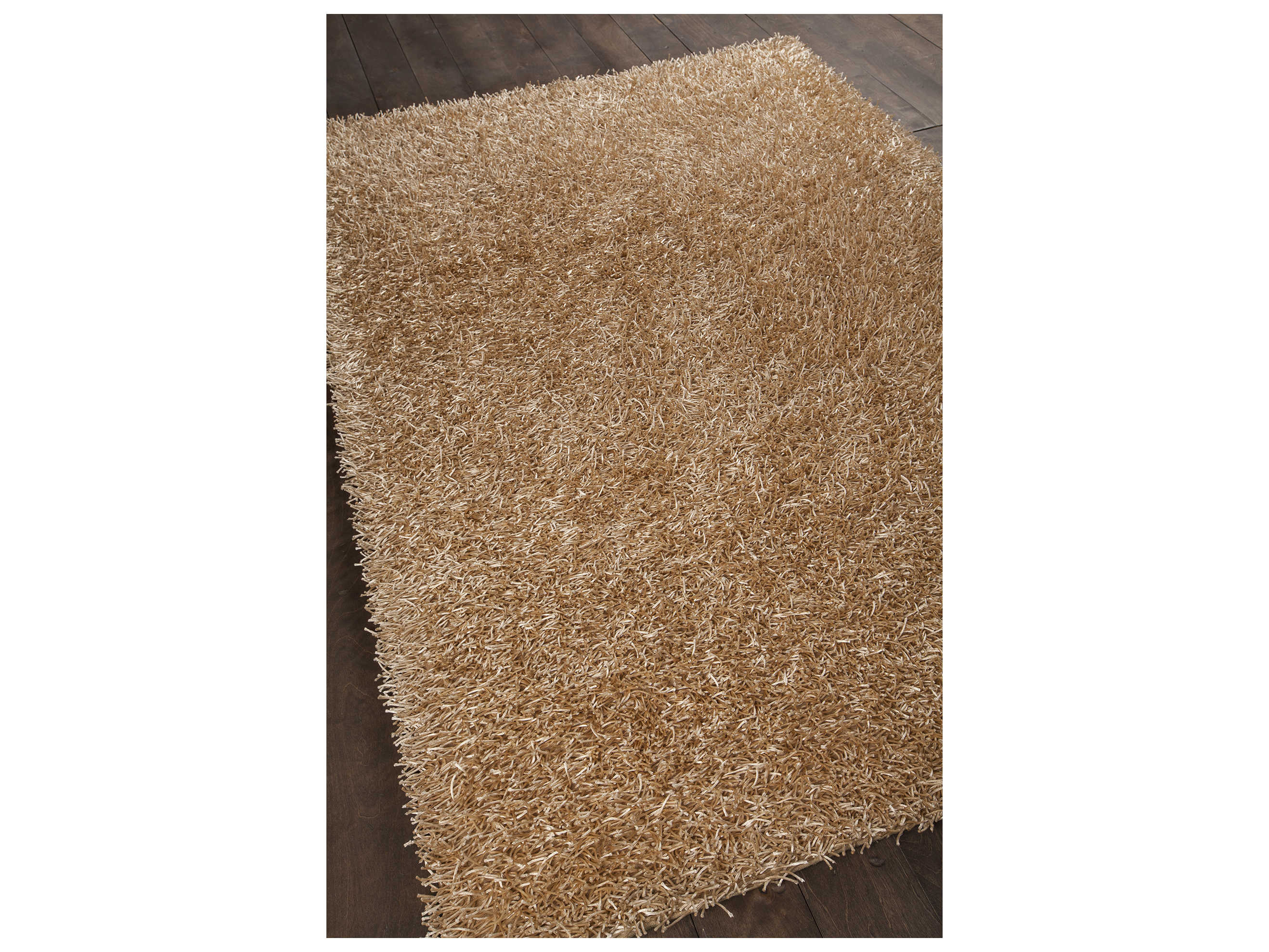 Chandra Zara Shag Area Rug