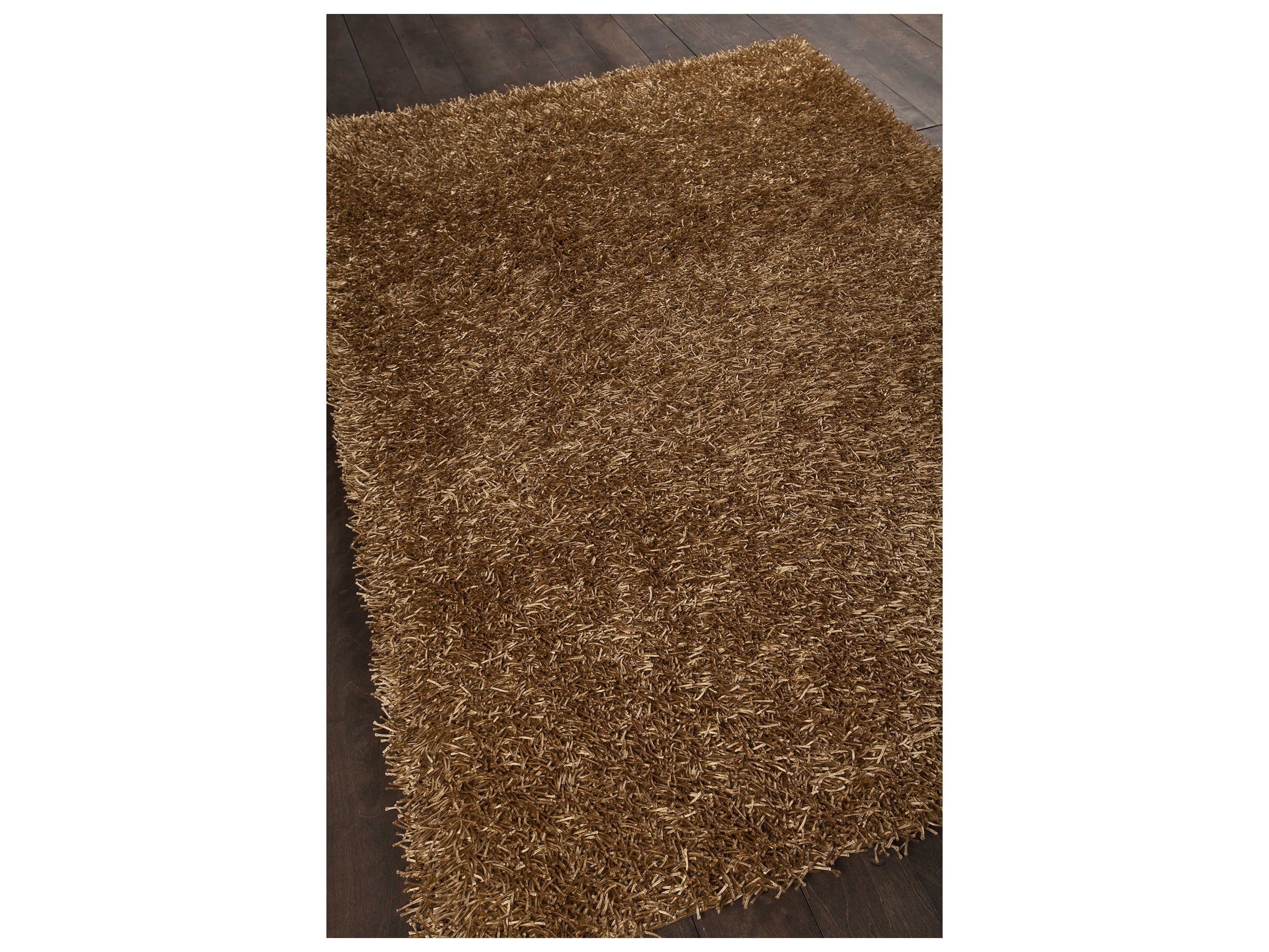 Chandra Zara Shag Area Rug
