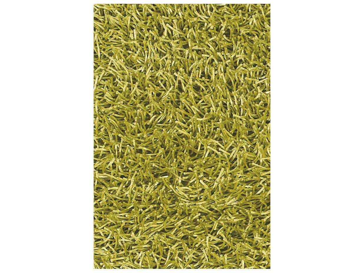 Chandra Zara Shag Area Rug