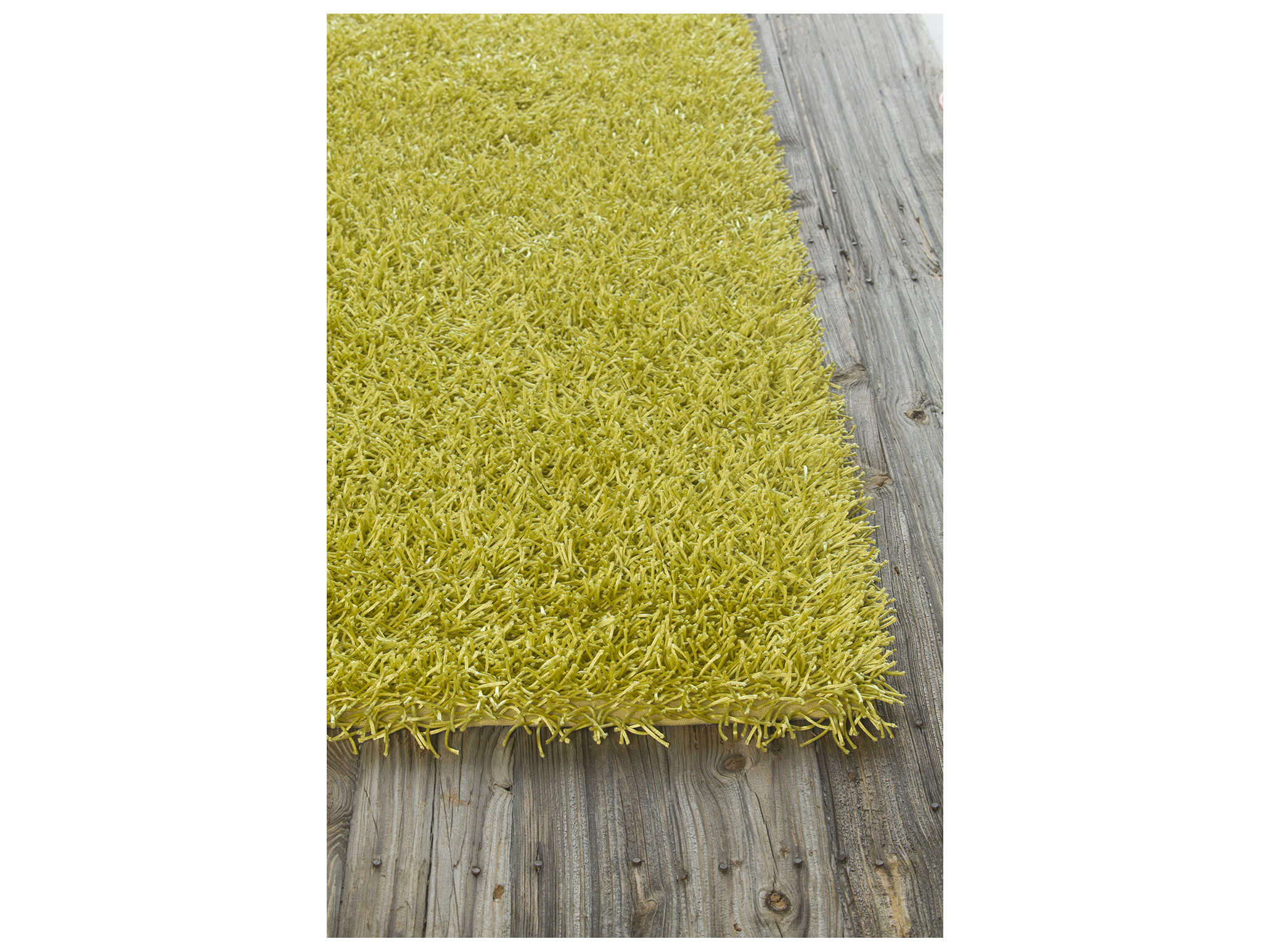 Chandra Zara Shag Area Rug