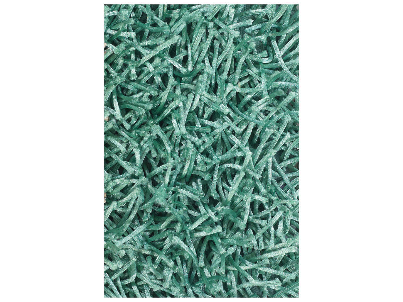 Chandra Zara Shag Area Rug