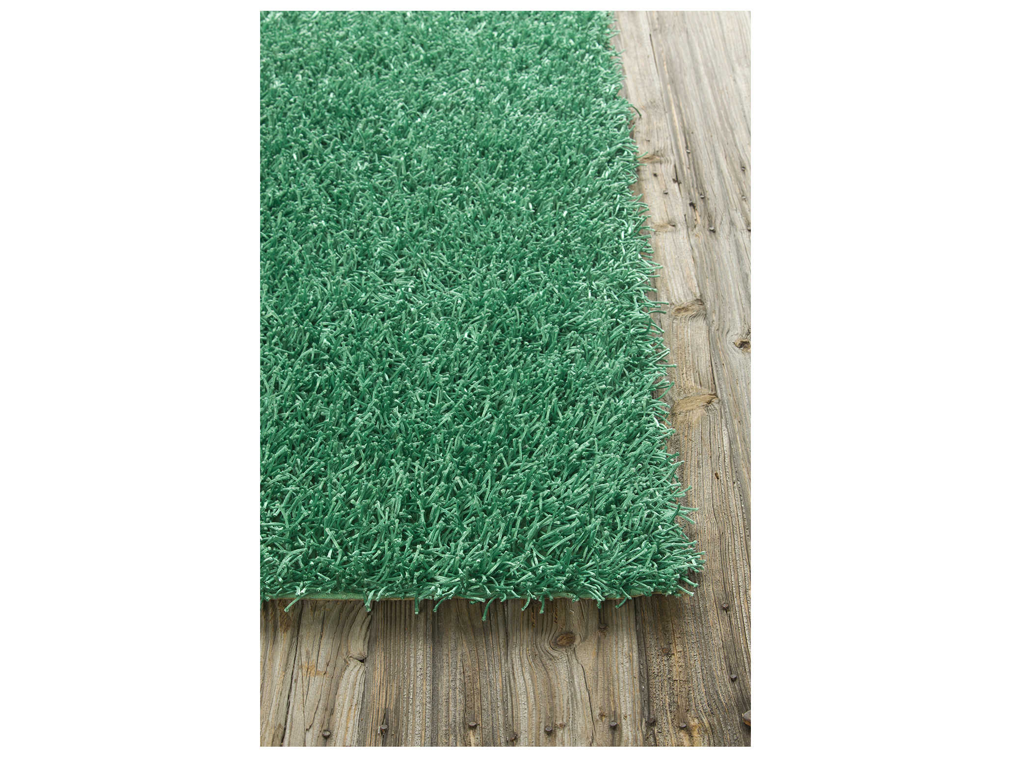 Chandra Zara Shag Area Rug