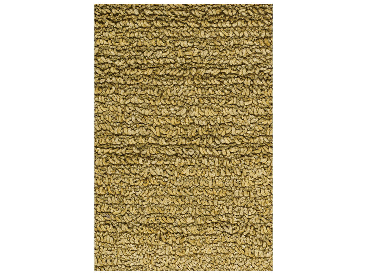 Chandra Zeal Shag Area Rug