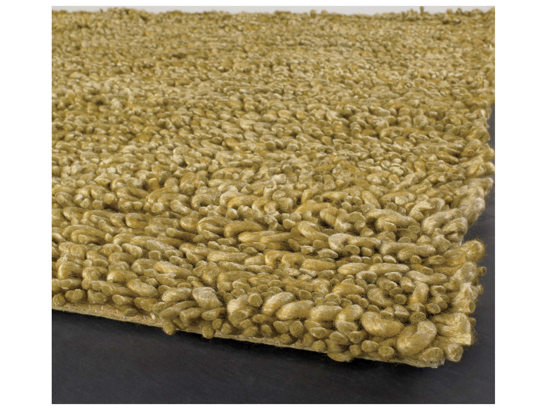 Chandra Zeal Shag Area Rug