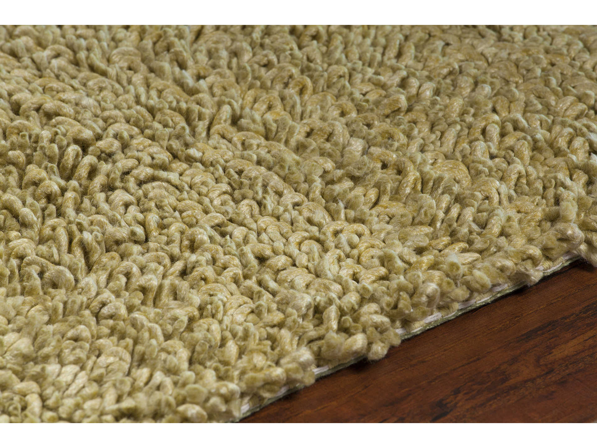 Chandra Zeal Shag Area Rug