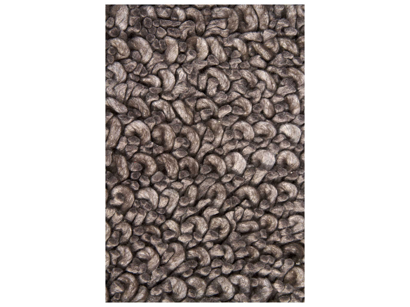 Chandra Zeal Shag Area Rug
