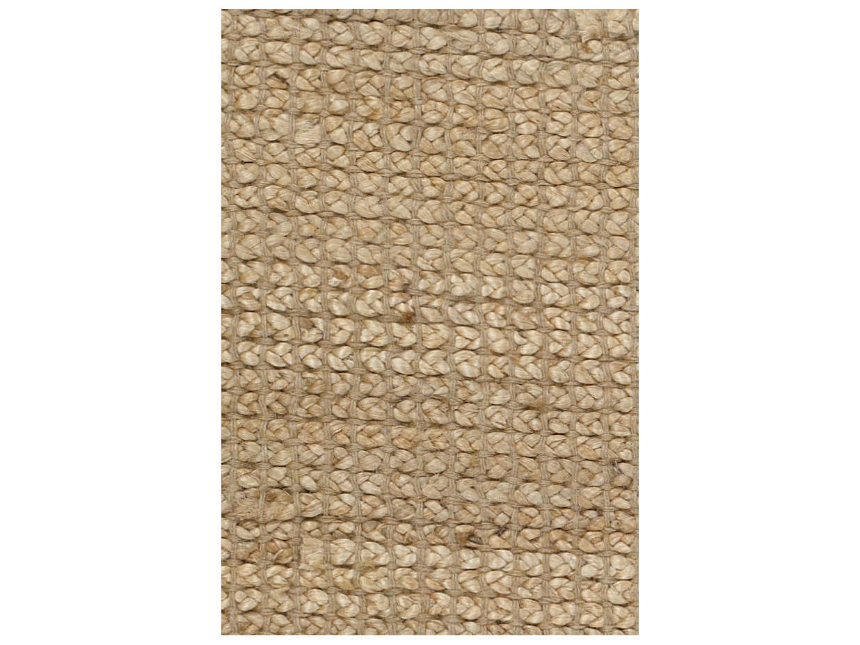 Chandra Zola Area Rug