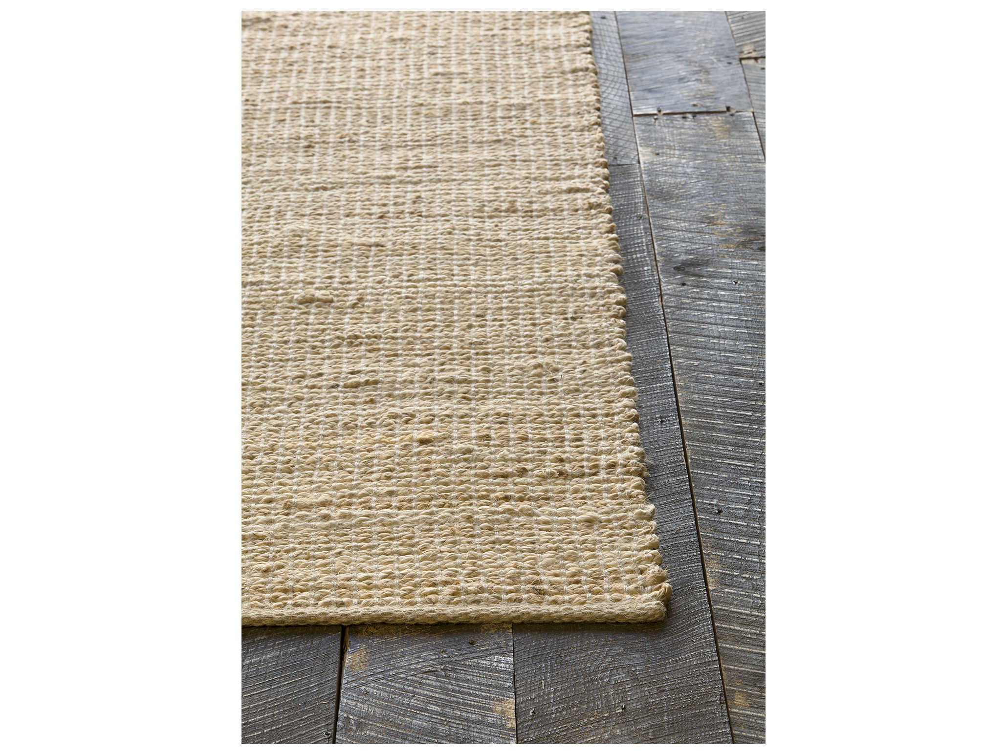 Chandra Zola Area Rug